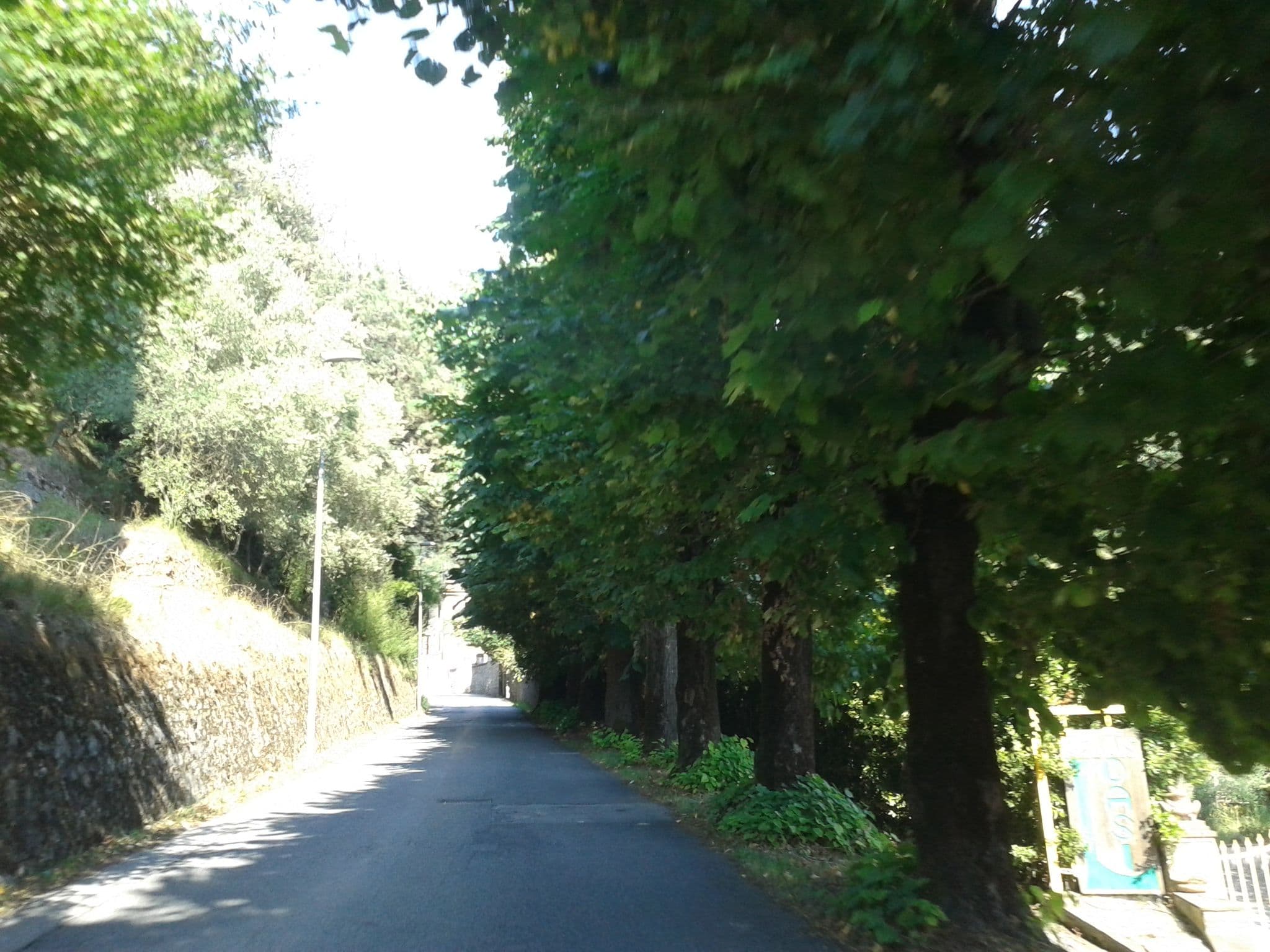 Street view near Mulino La Sosta, Camaiore — © momix (CC BY-SA · Mapillary)