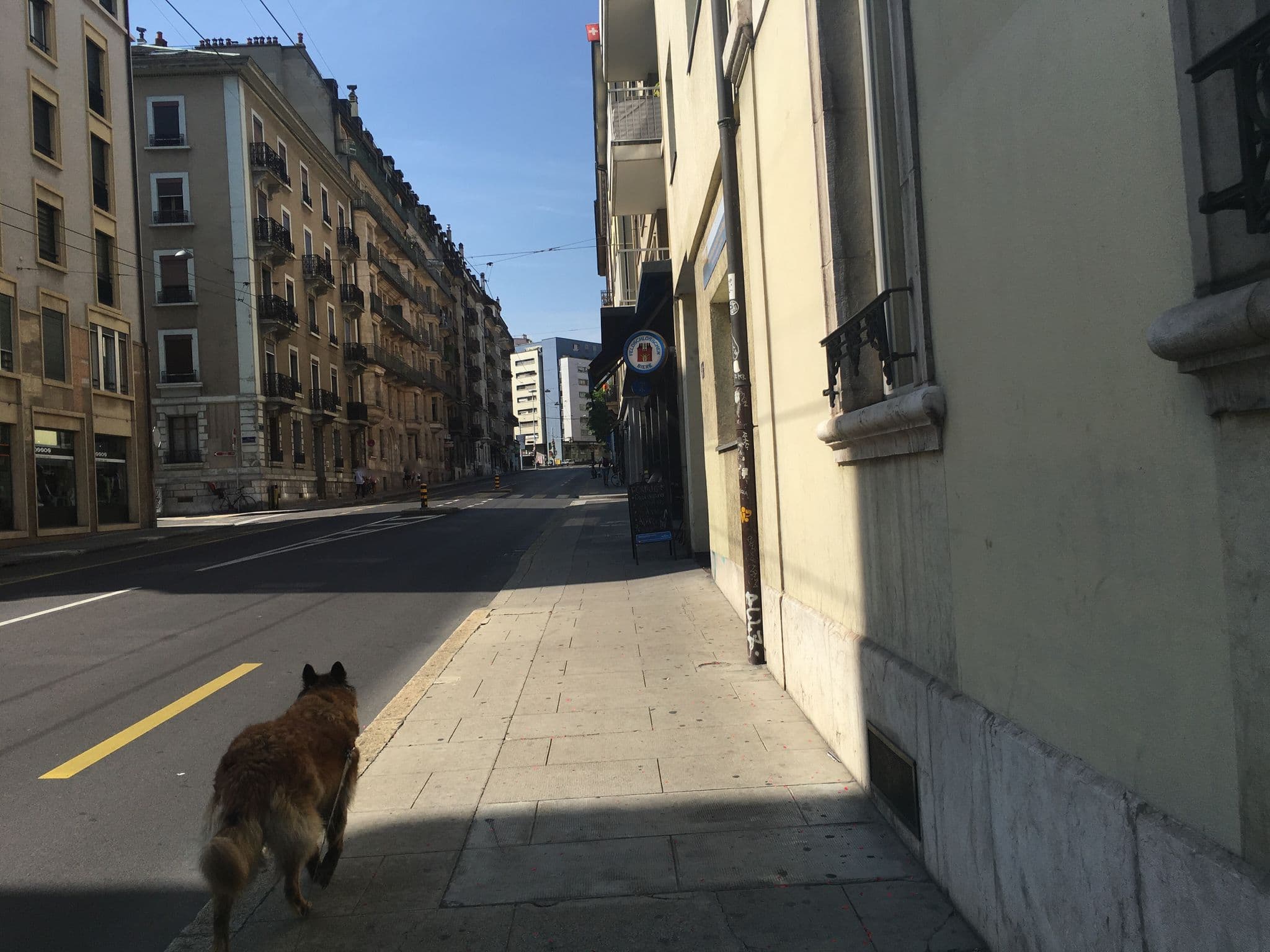 Street view near Base Geneva, Geneva — © nattes (CC BY-SA · Mapillary)