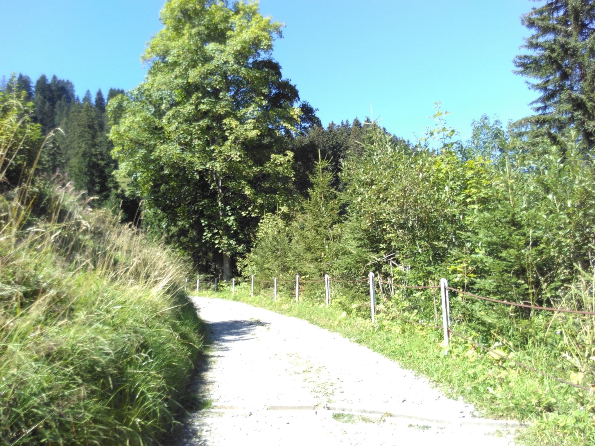 Street view near Zum Goldenen Hirschen, Arth — © lto (CC BY-SA · Mapillary)
