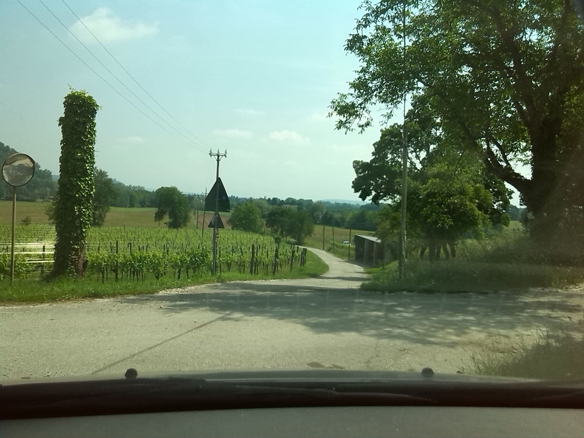 Street view near Gigante Wine & Welcome in Friuli, Corno di Rosazzo — © cascafico (CC BY-SA · Mapillary)
