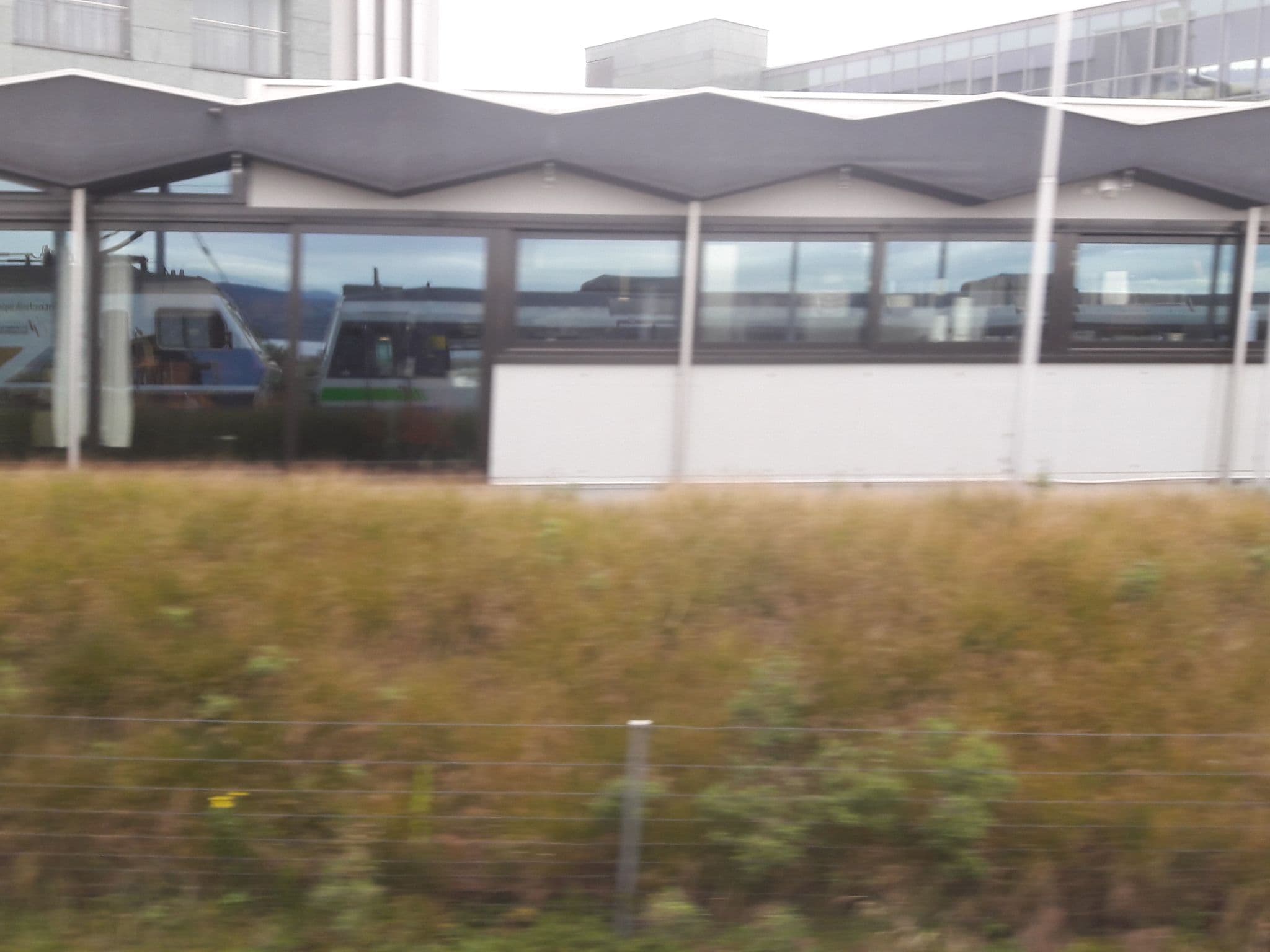 Street view near Seedamm Plaza, Freienbach — © crontab (CC BY-SA · Mapillary)