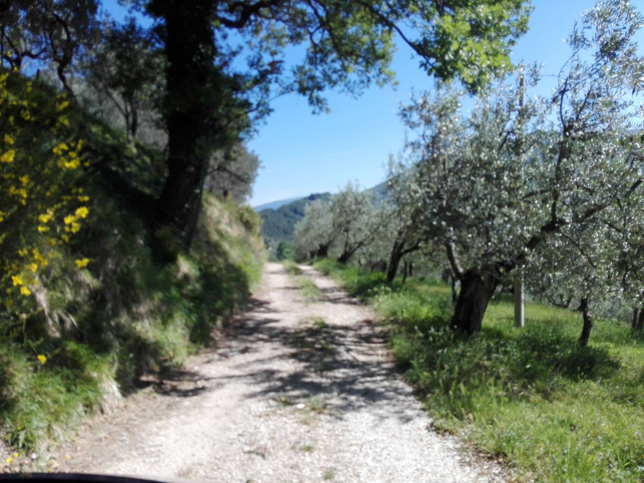 Street view near Agriturismo Le Vigne, Foligno — © comunedifoligno (CC BY-SA · Mapillary)