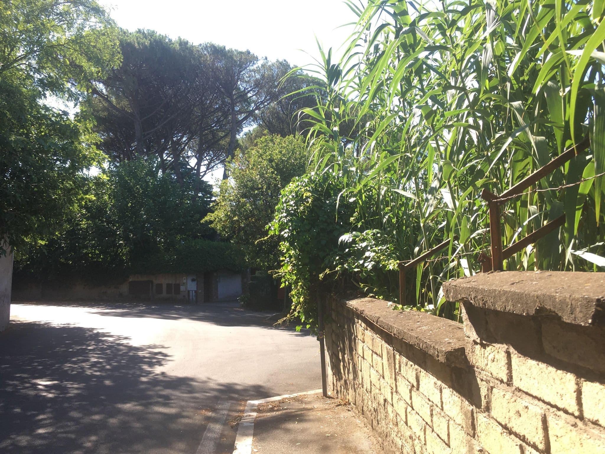 Street view near Villanocetta, Trastevere — © marsan (CC BY-SA · Mapillary)