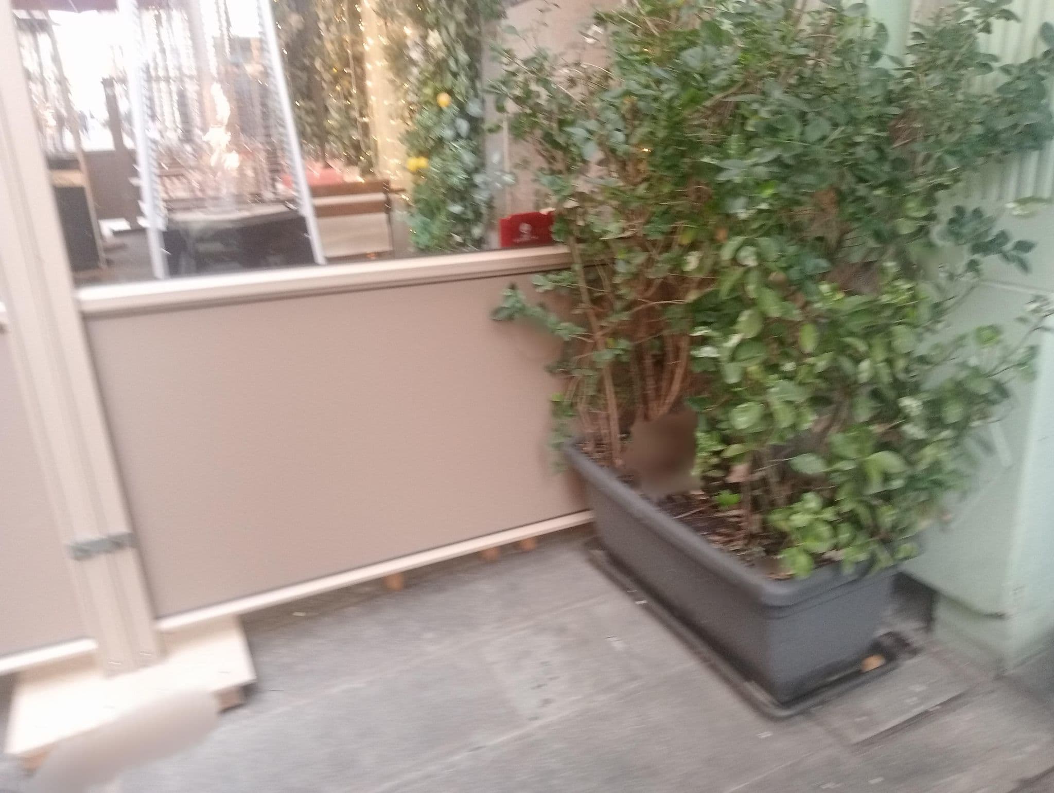 Street view near Albergo delle Spezie, La Spezia — © omfg_notpr (CC BY-SA · Mapillary)