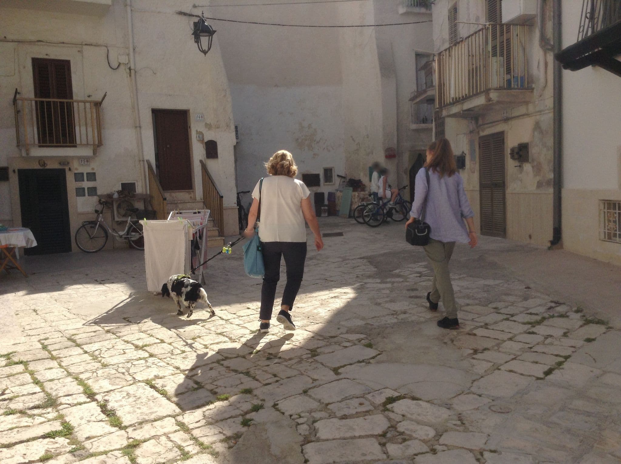 Street view near Albergo Diffuso Monopoli, Monopoli — © mescafe (CC BY-SA · Mapillary)