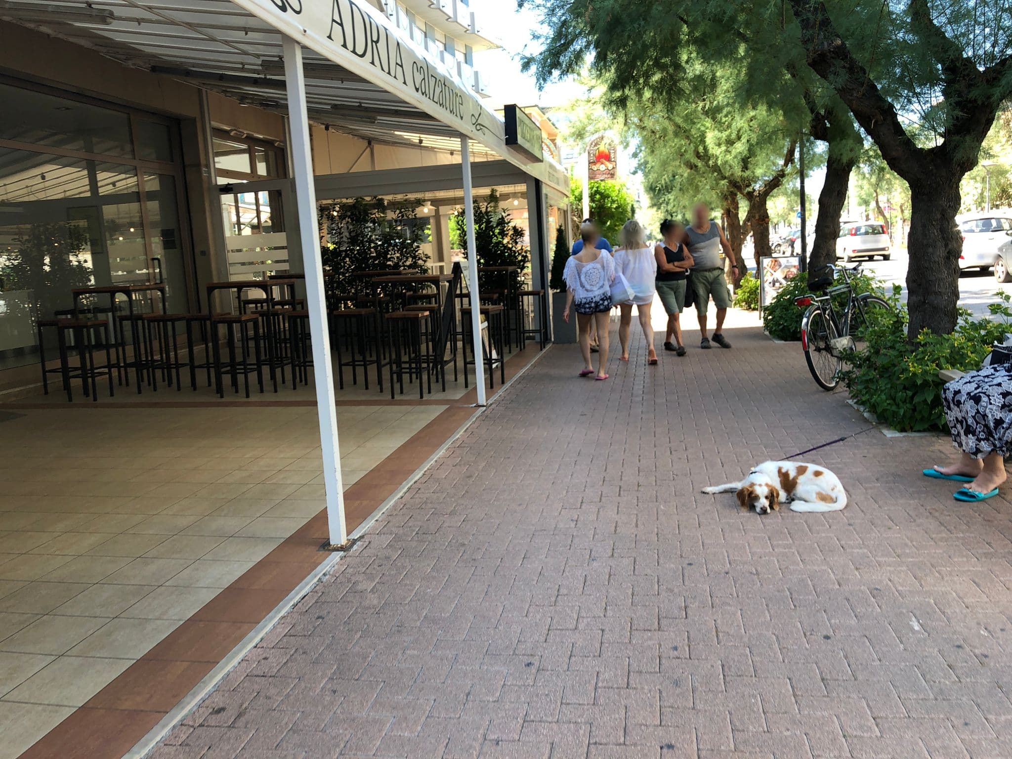 Street view near Albergo Caravelle, Pesaro — © peterleth (CC BY-SA · Mapillary)
