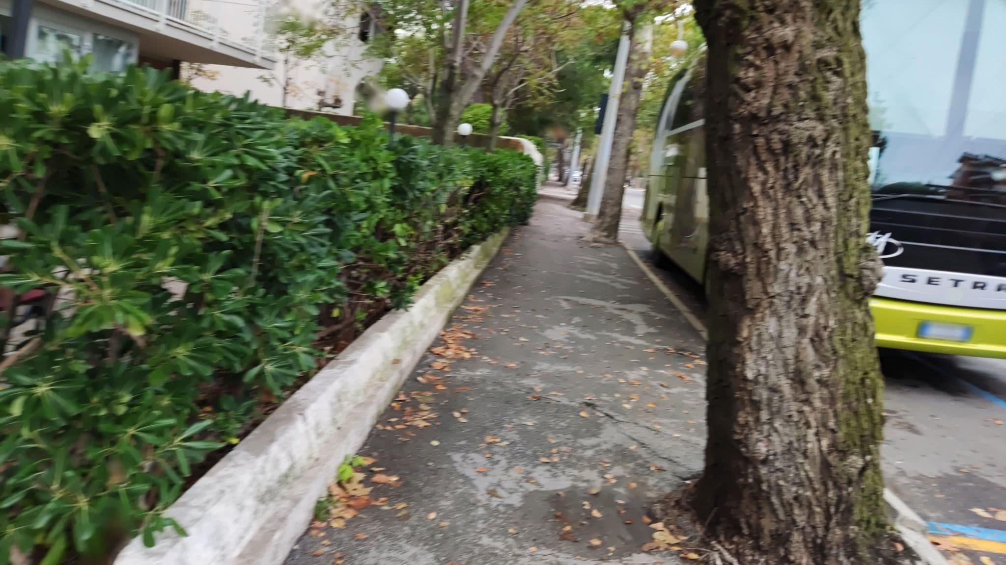 Street view near Hotel Montecarlo Riccione, Riccione