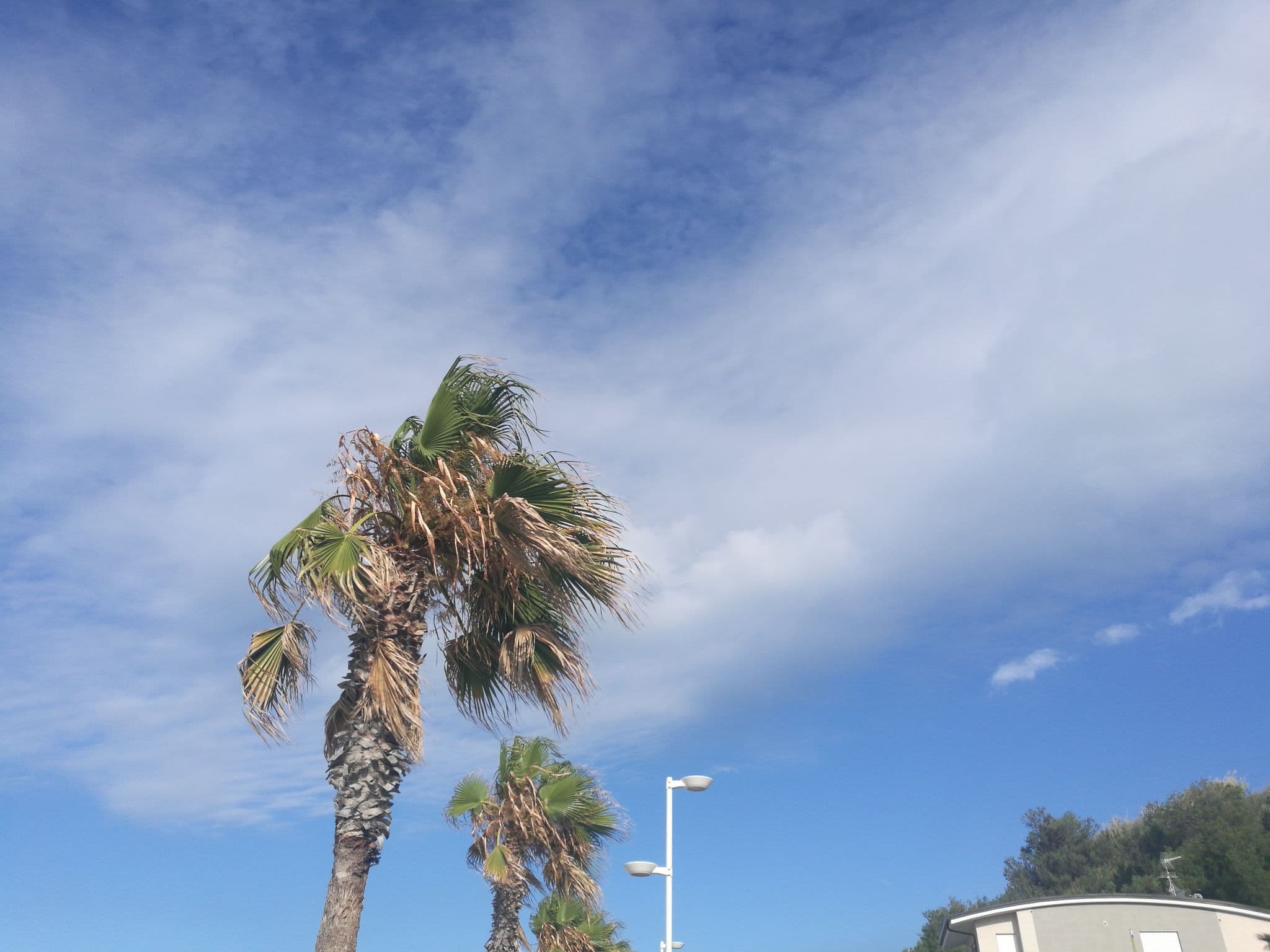 Street view near Residence Colombo, Termoli — © doduva2 (CC BY-SA · Mapillary)