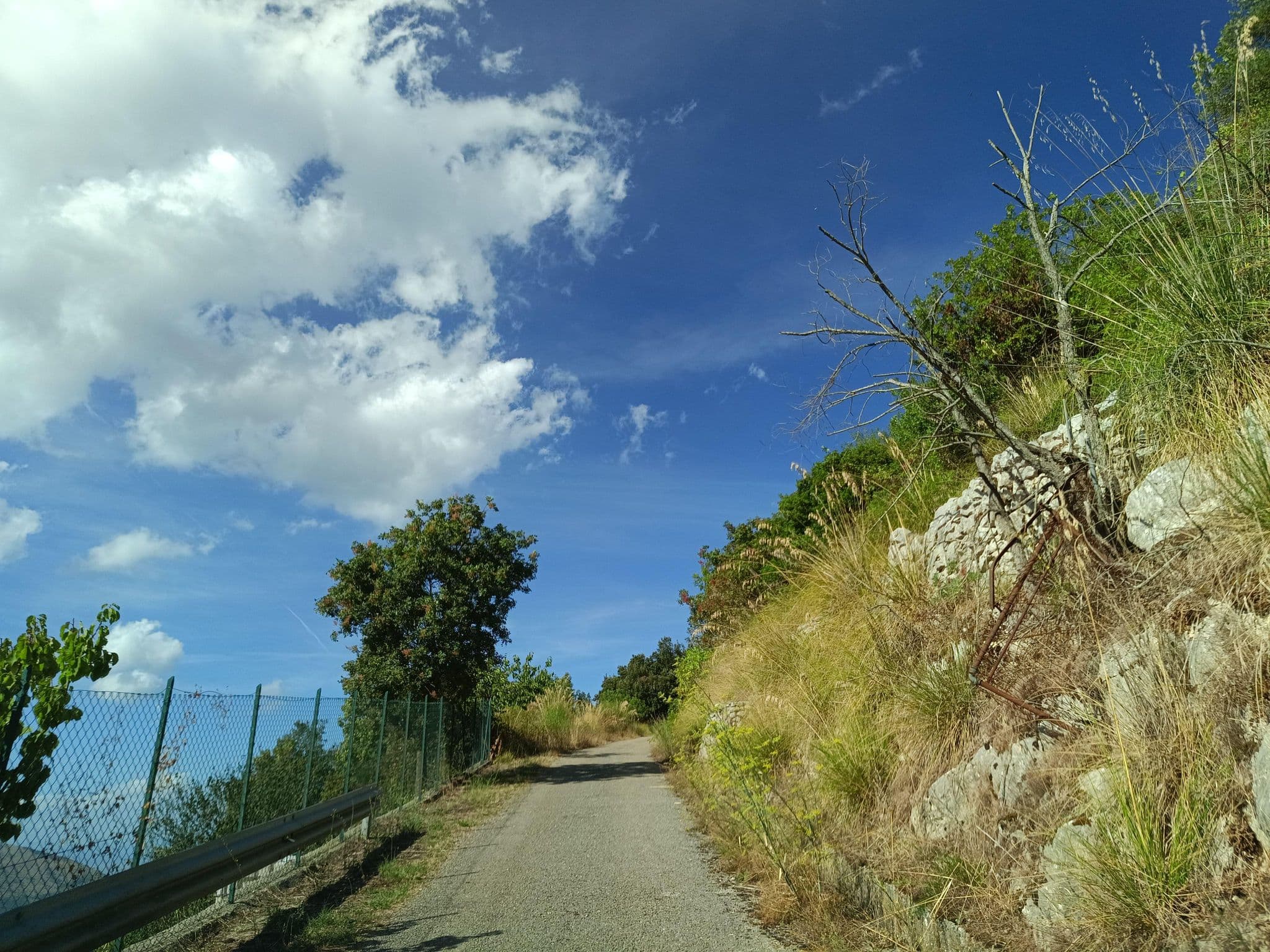 Street view near La Perla Degli Ausoni Srls, Vallecorsa — © odiug (CC BY-SA · Mapillary)
