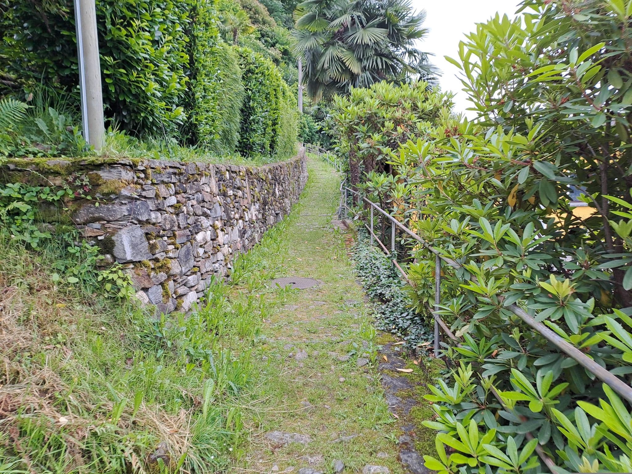 Street view near Villa Piccolo Mondo, Brissago — © kammann (CC BY-SA · Mapillary)