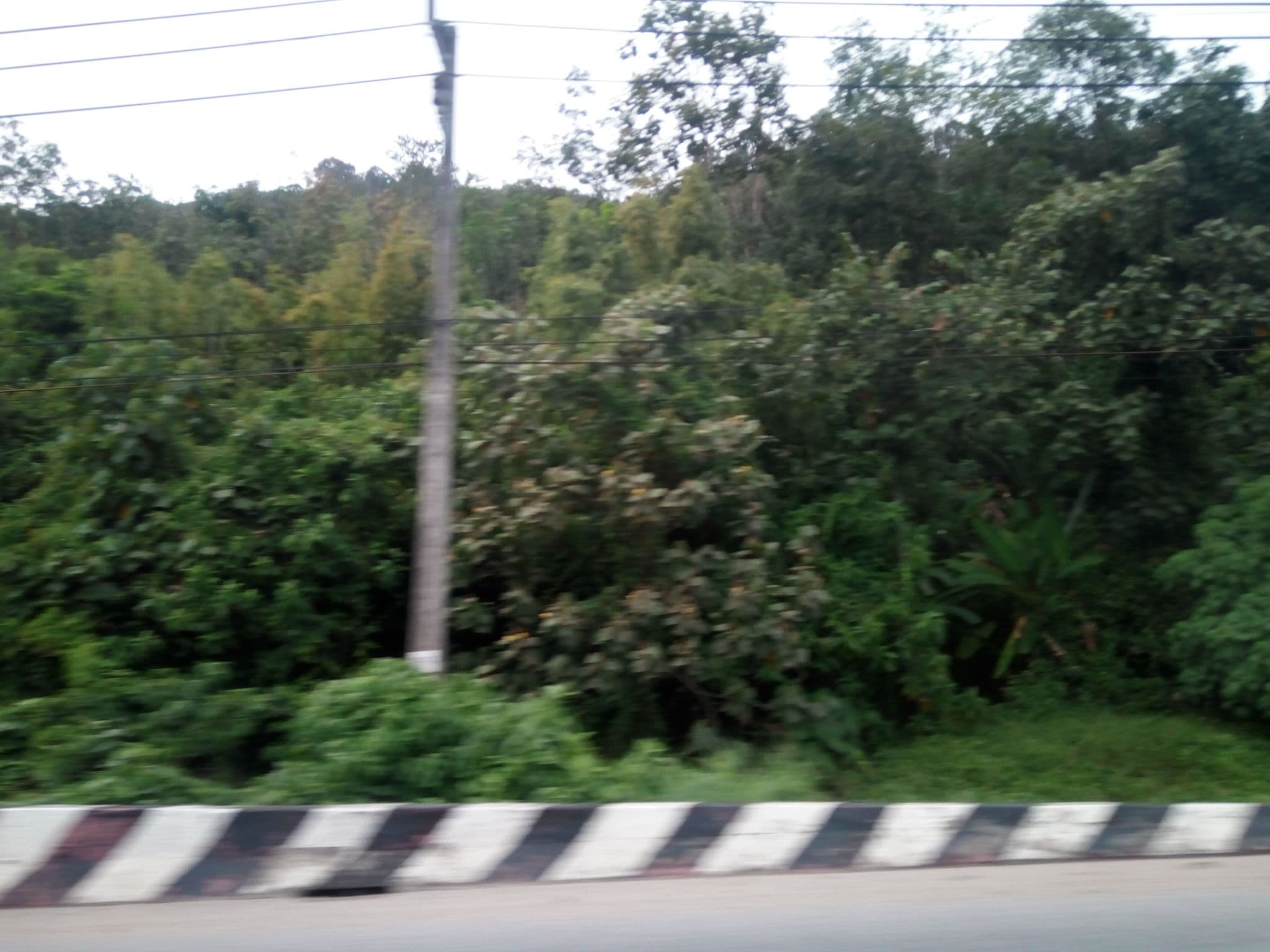 Street view near Aqua Home and Hotel Supply, Ban Ko Kaeo — © mapfool (CC BY-SA · Mapillary)