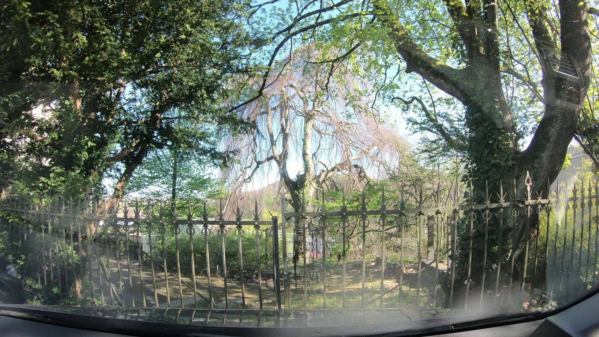 Street view near Parkvilla, Schaffhausen — © canadarunner (CC BY-SA · Mapillary)