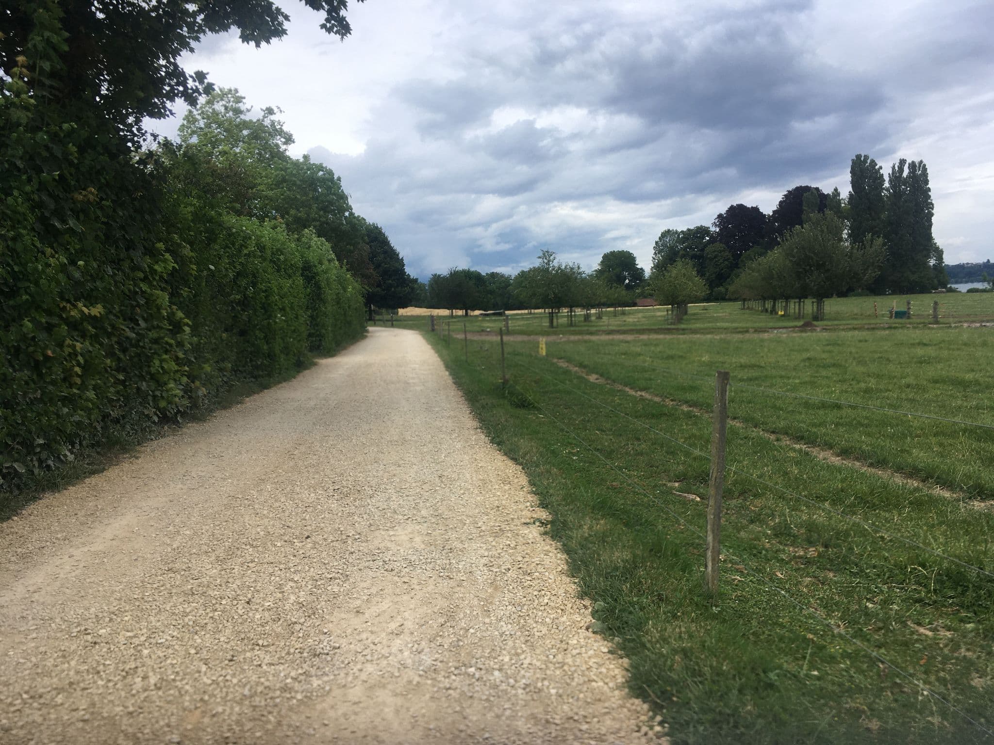 Street view near Inseltraum, La Neuveville — © beat (CC BY-SA · Mapillary)