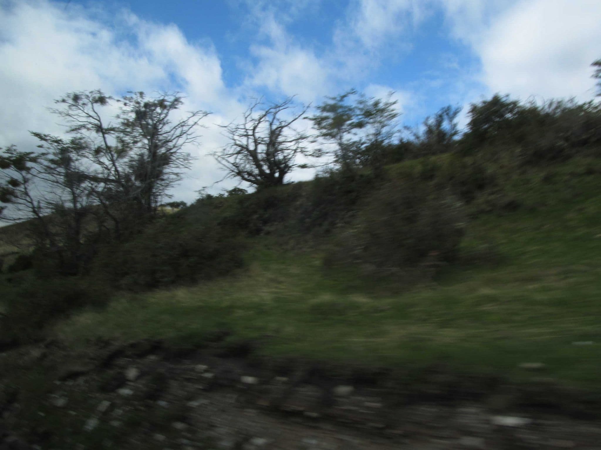 Street view near Estancia Harberton - Camping Permit Office, Puerto Williams — © sk53 (CC BY-SA · Mapillary)
