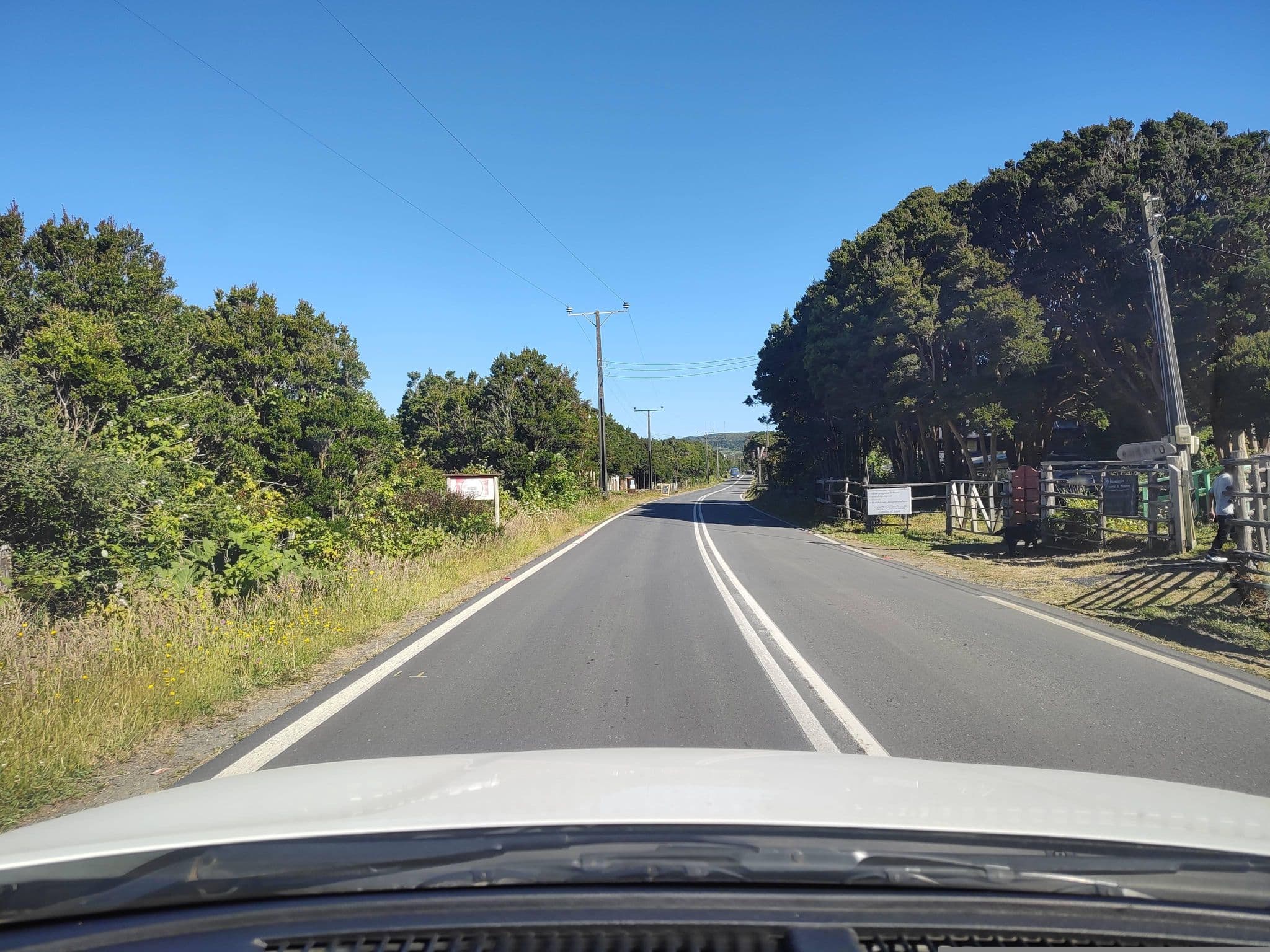 Street view near Las Terrazas de Cucao, Chonchi — © andresduhour (CC BY-SA · Mapillary)