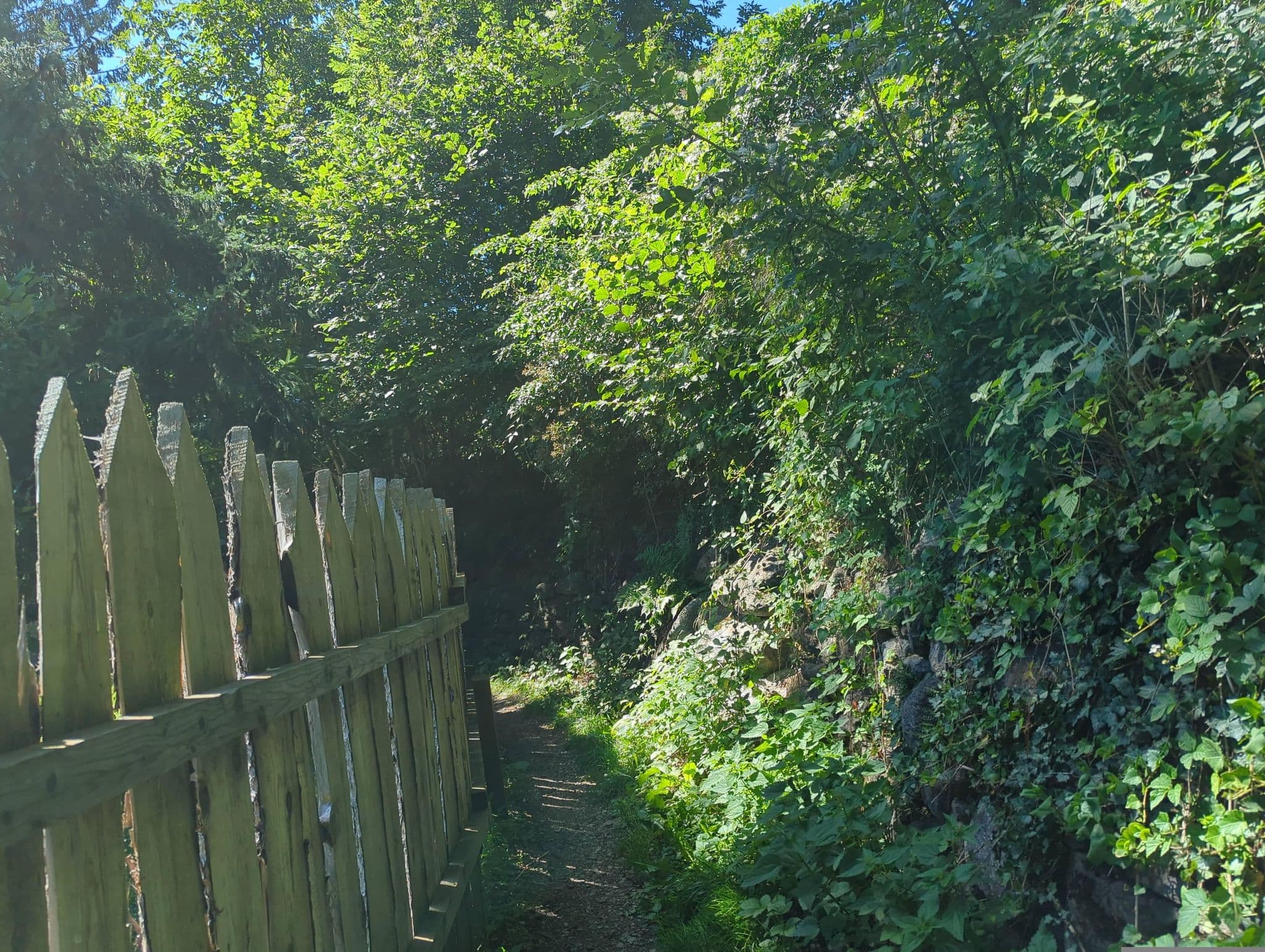 Street view near Wildauers, Lienz — © asdf (CC BY-SA · Mapillary)