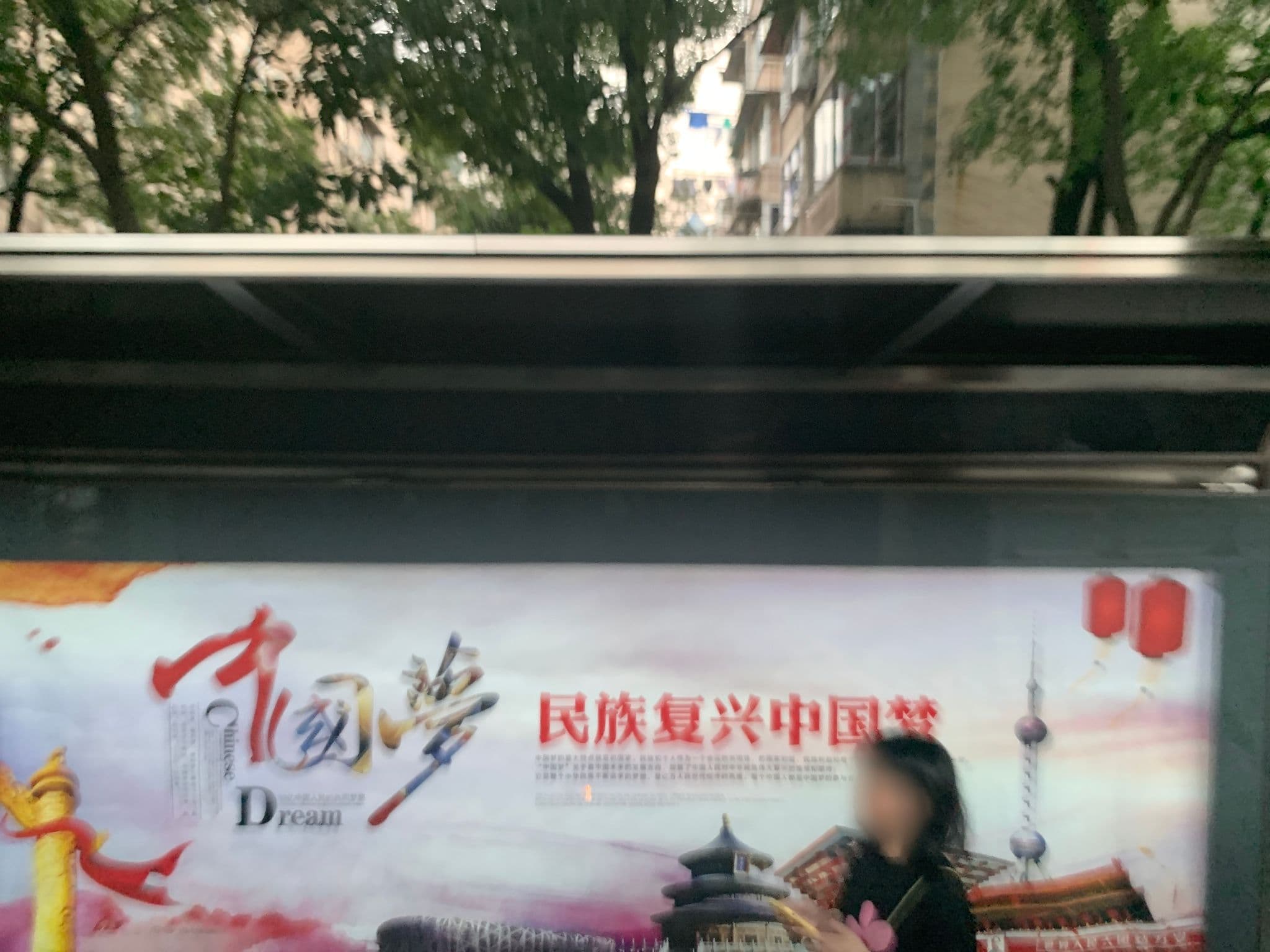 Street view near 上海栖霞宾馆, Pudong — © pLyMiEwGpWDLryMacQzo (CC BY-SA · Mapillary)