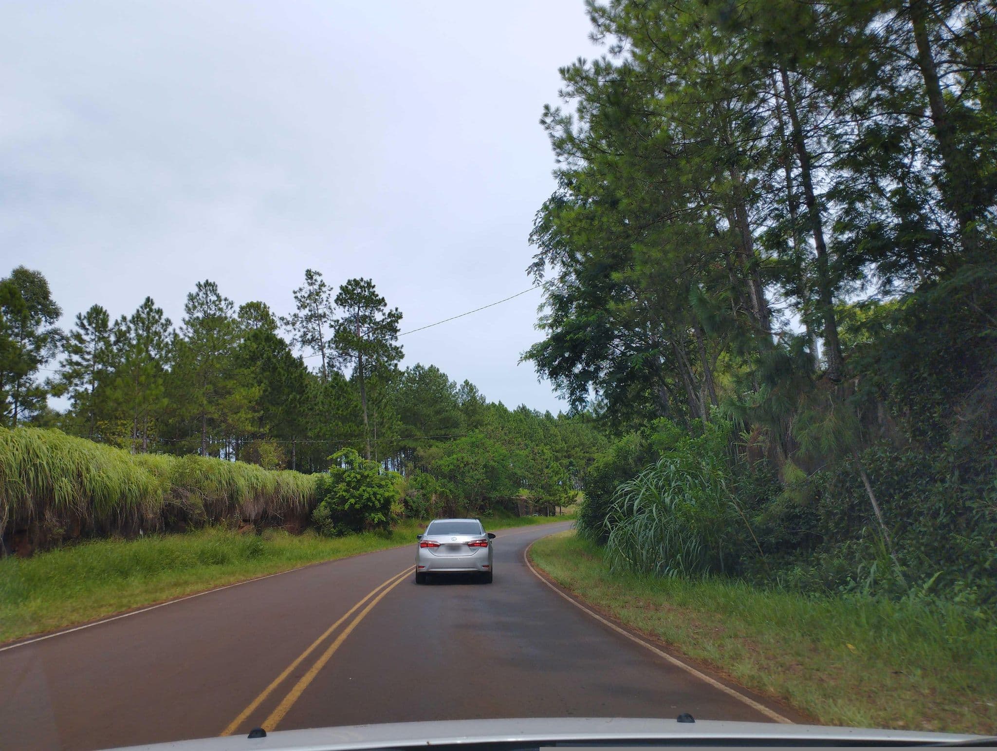Street view near Cabañas Tío Coleco, El Soberbio — © carlosbrys (CC BY-SA · Mapillary)