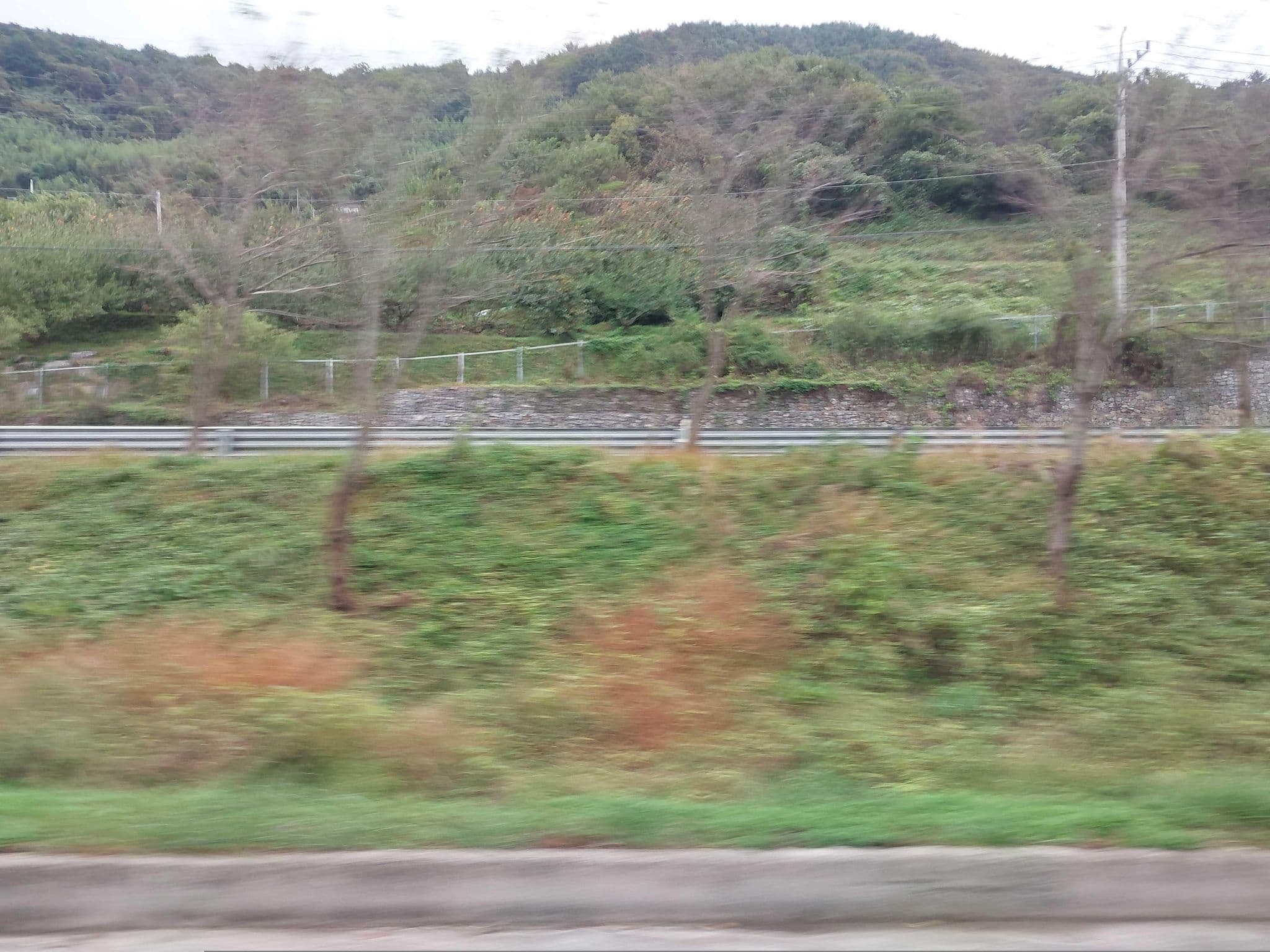 Street view near 알프스모텔, Hadong — © ChenJJ (CC BY-SA · Mapillary)