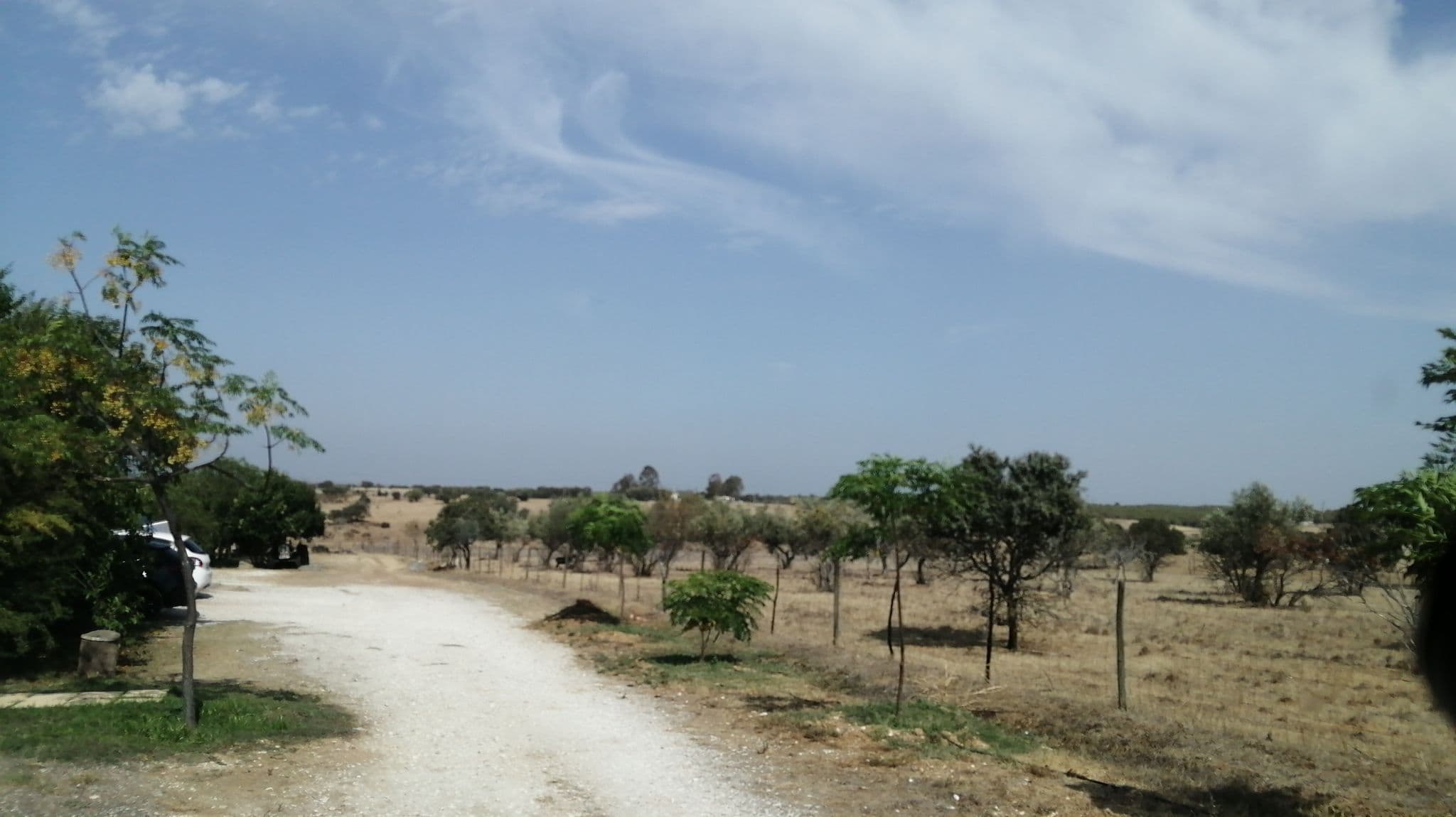 Street view near Monte do Colmeal - Rural Accomodation, Reguengos de Monsaraz — © kanimanbo (CC BY-SA · Mapillary)