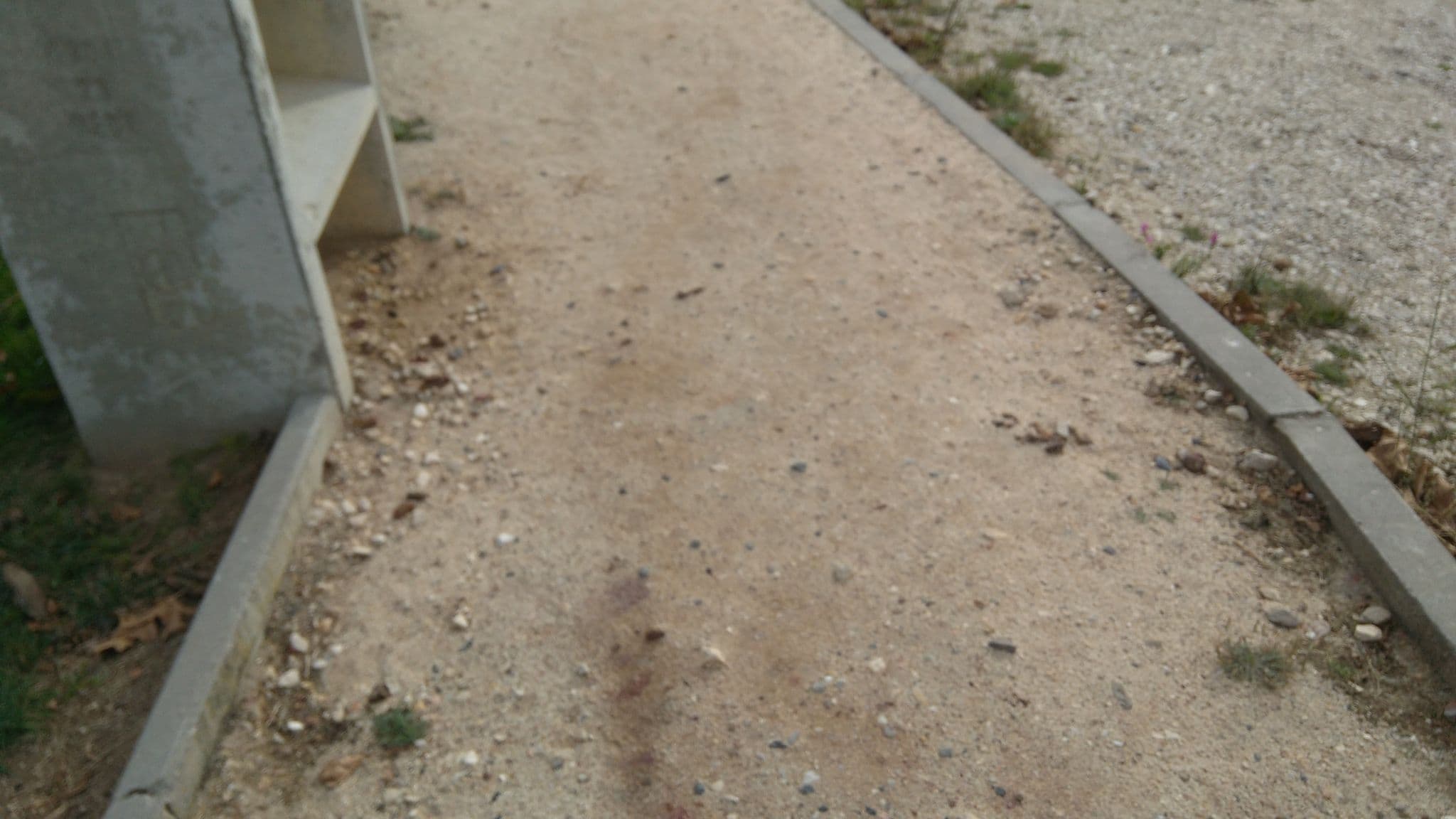 Street view near Quinta Vigia Hostel Boutique, Alqueidão da Serra — © gojhdg (CC BY-SA · Mapillary)