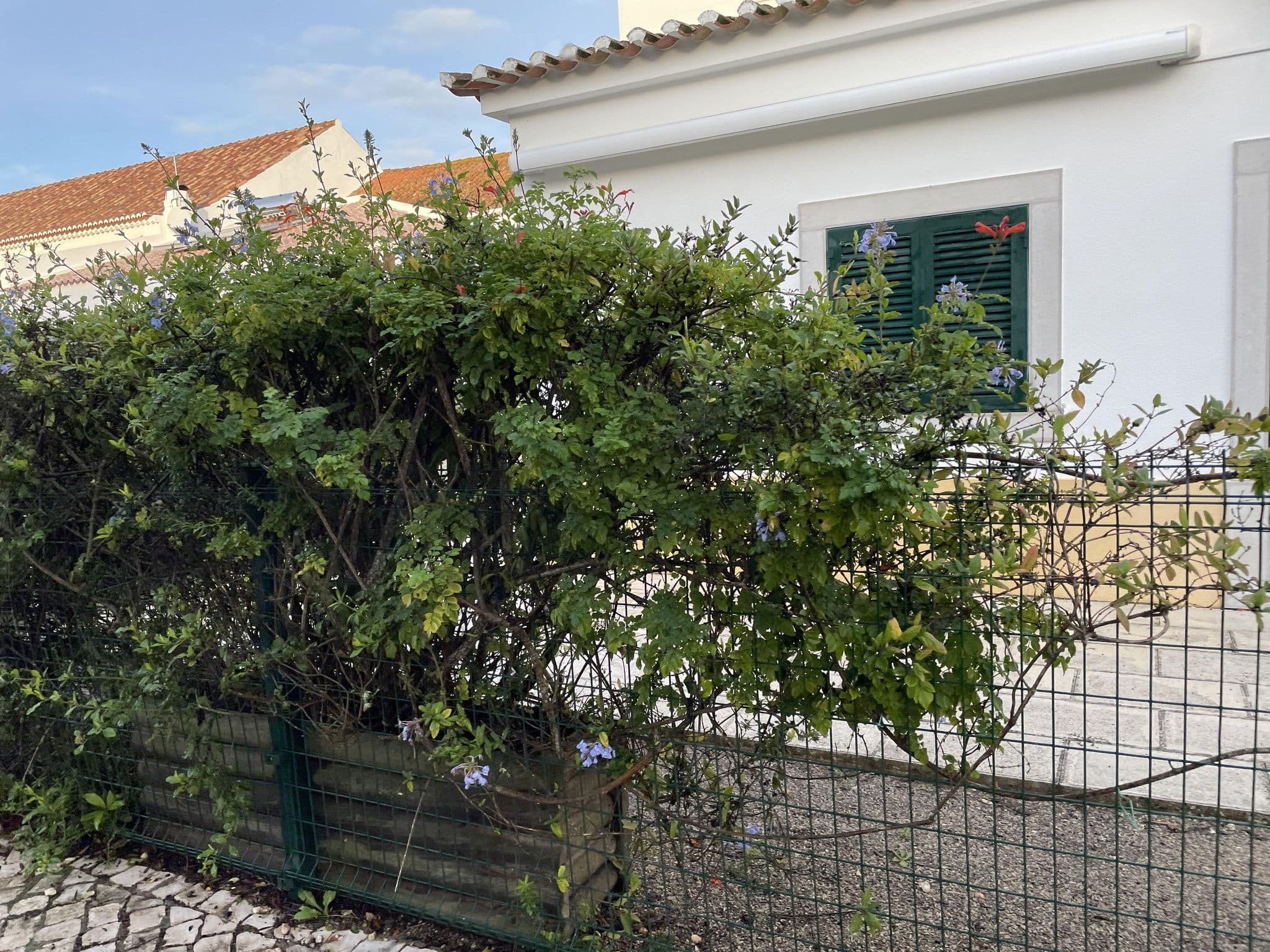 Street view near Casa da Oliveira, Sesimbra — © seraq (CC BY-SA · Mapillary)