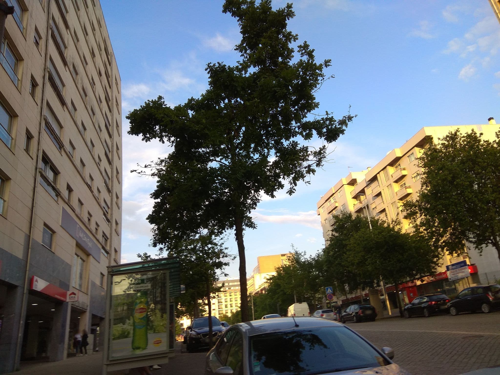 Street view near The Seven Aparthotel, Maia — © joao117 (CC BY-SA · Mapillary)