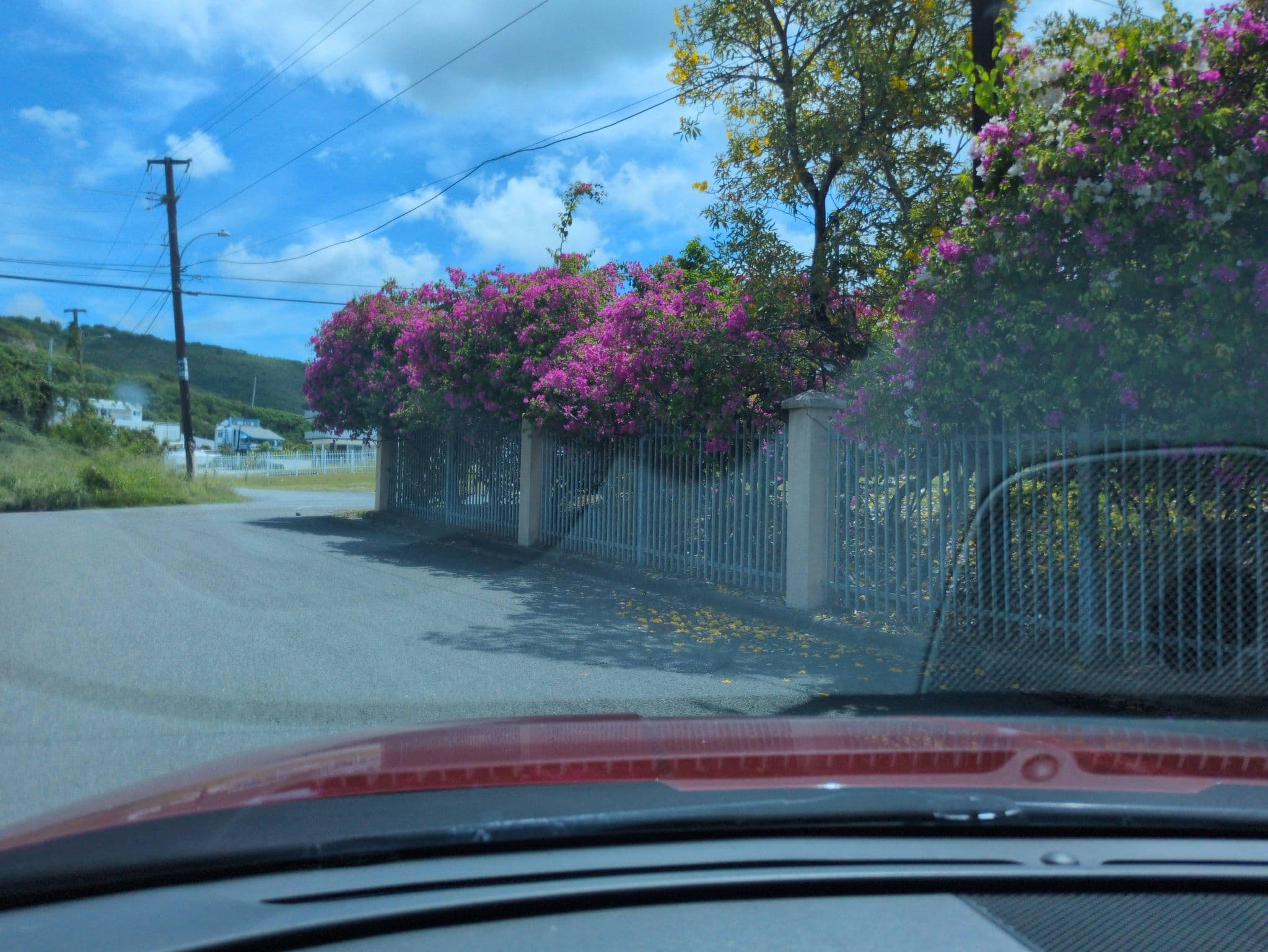 Street view near Ramonita’s Guest House, La Parguera — © gabriel6754 (CC BY-SA · Mapillary)