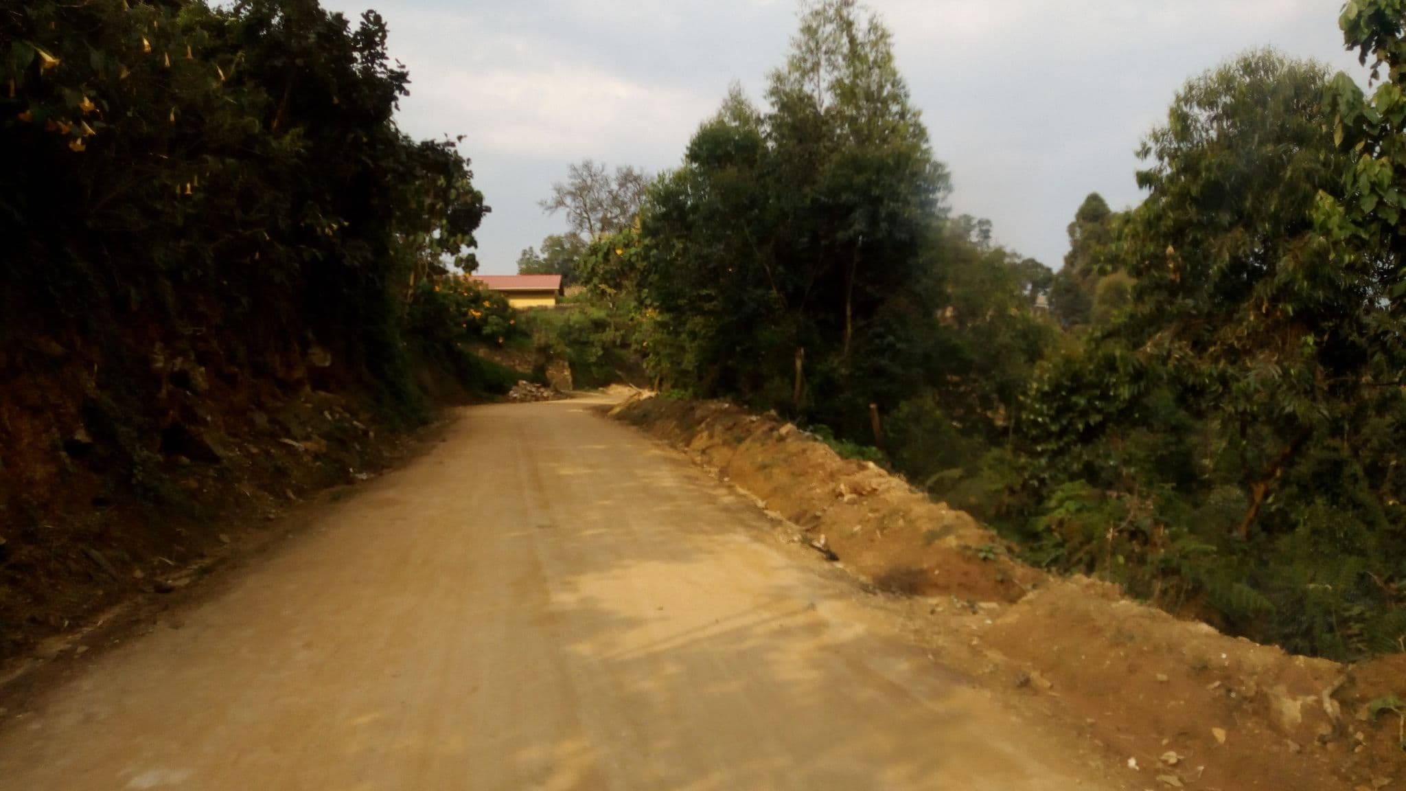 Street view near Nkuringo Gorilla Camp, Kanungu — © klain890 (CC BY-SA · Mapillary)