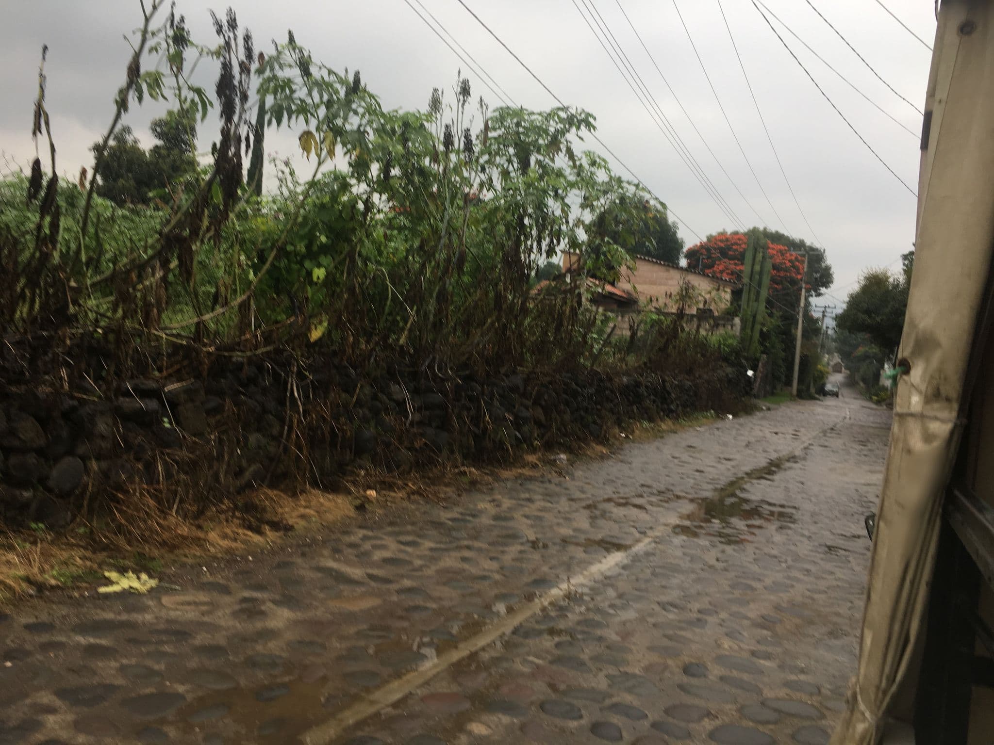 Street view near La Casa Que Abraza, Tlayacapan — © allisonb (CC BY-SA · Mapillary)