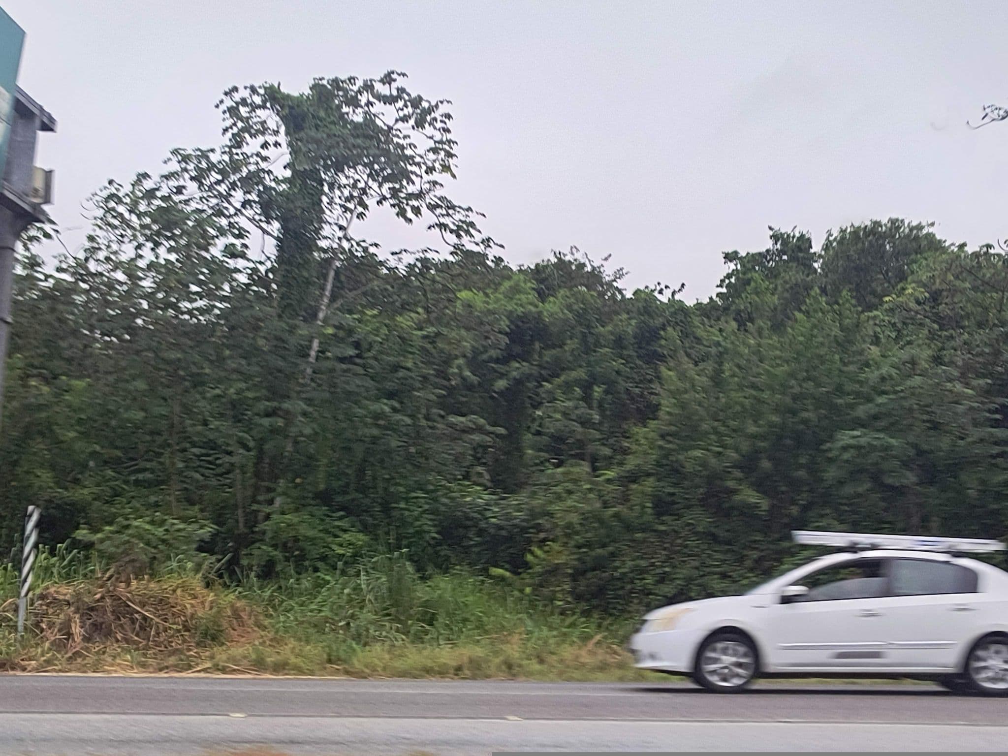 Street view near Krystal Grand, Subteniente López — © mapeadora (CC BY-SA · Mapillary)