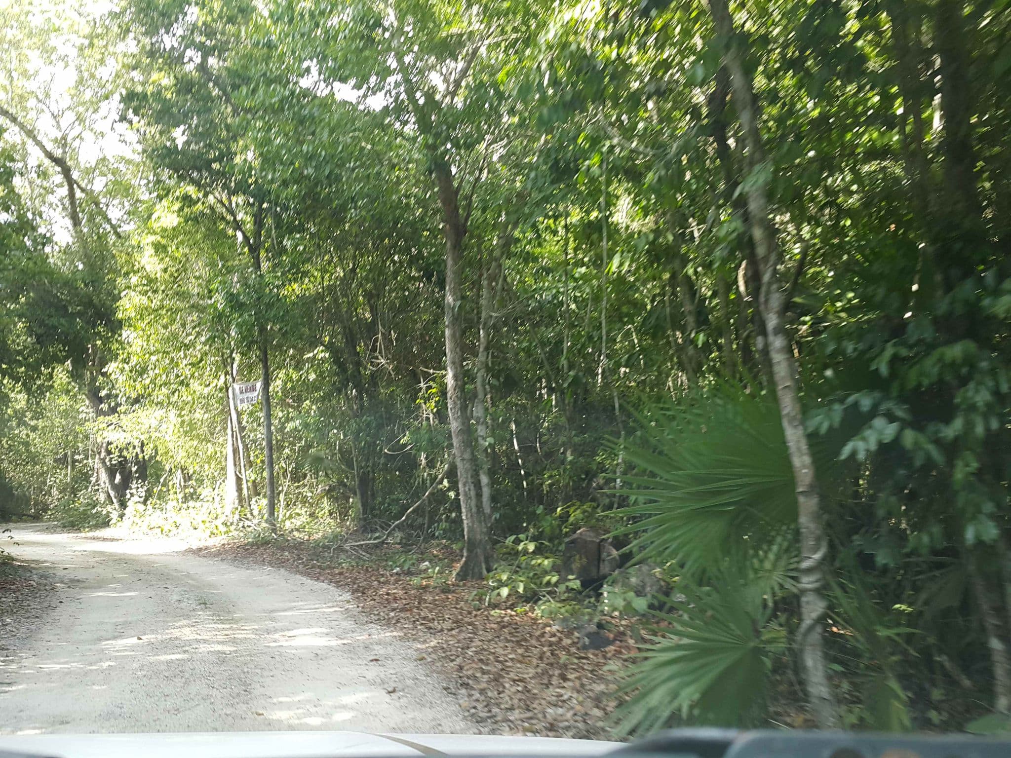 Street view near Hotel Burbuja Mexico, Óom Bubble Boutique, Leona Vicario — © mapanauta (CC BY-SA · Mapillary)