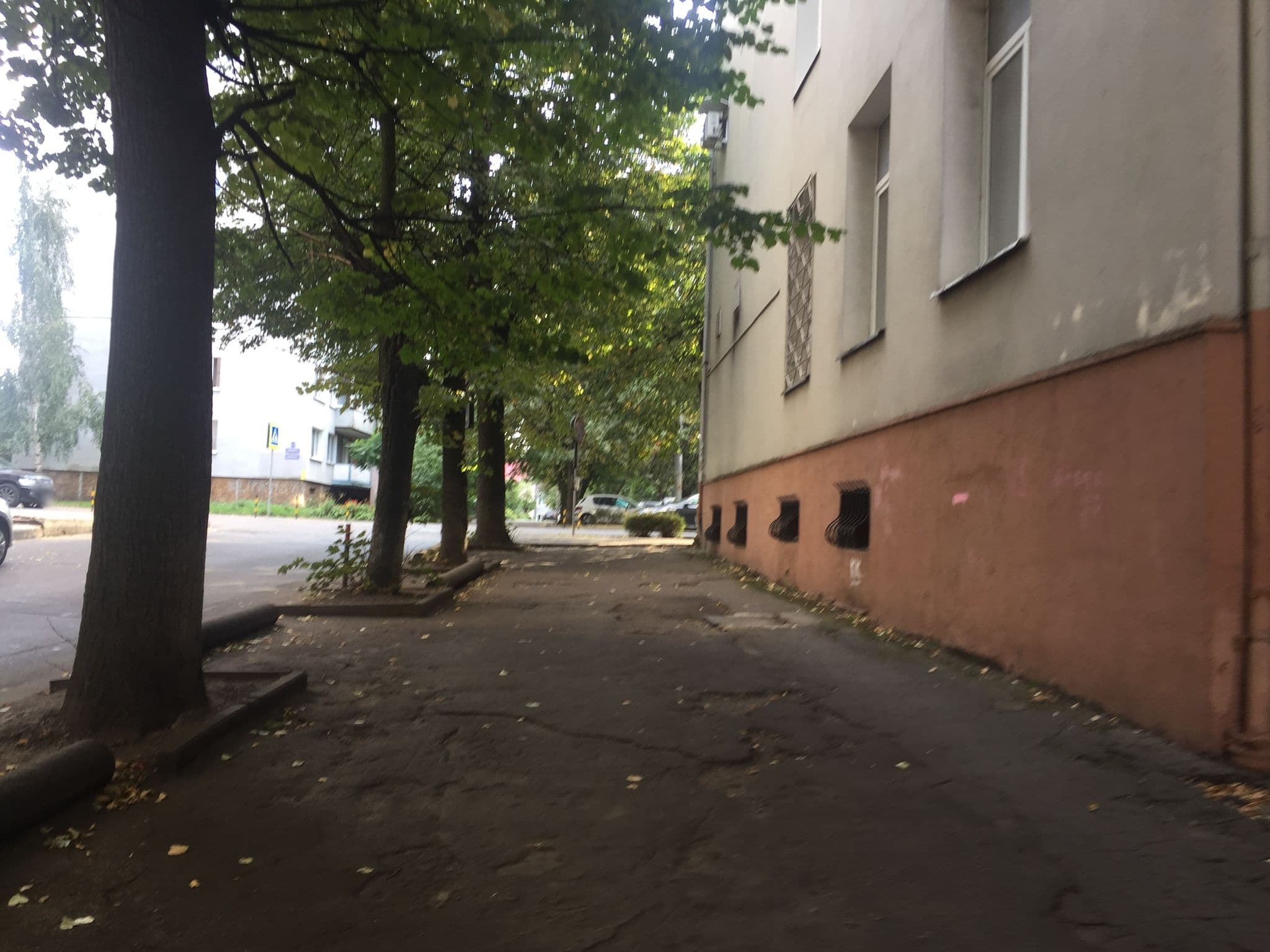 Street view near Золотая бухта, Kaliningrad — © ser9ei999 (CC BY-SA · Mapillary)