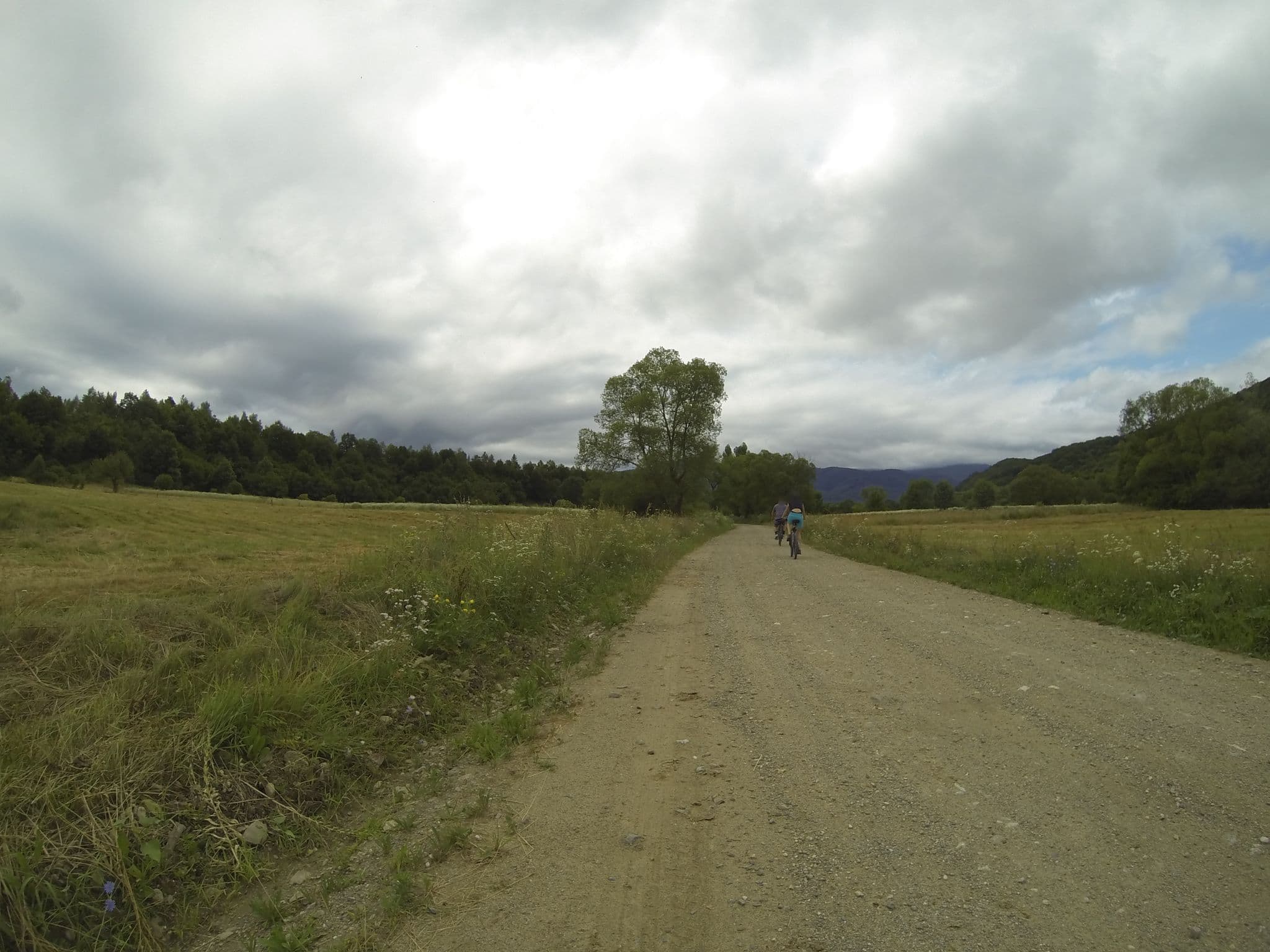 Street view near Mc stramba, Șinca Nouă — © deeeznuuuts (CC BY-SA · Mapillary)