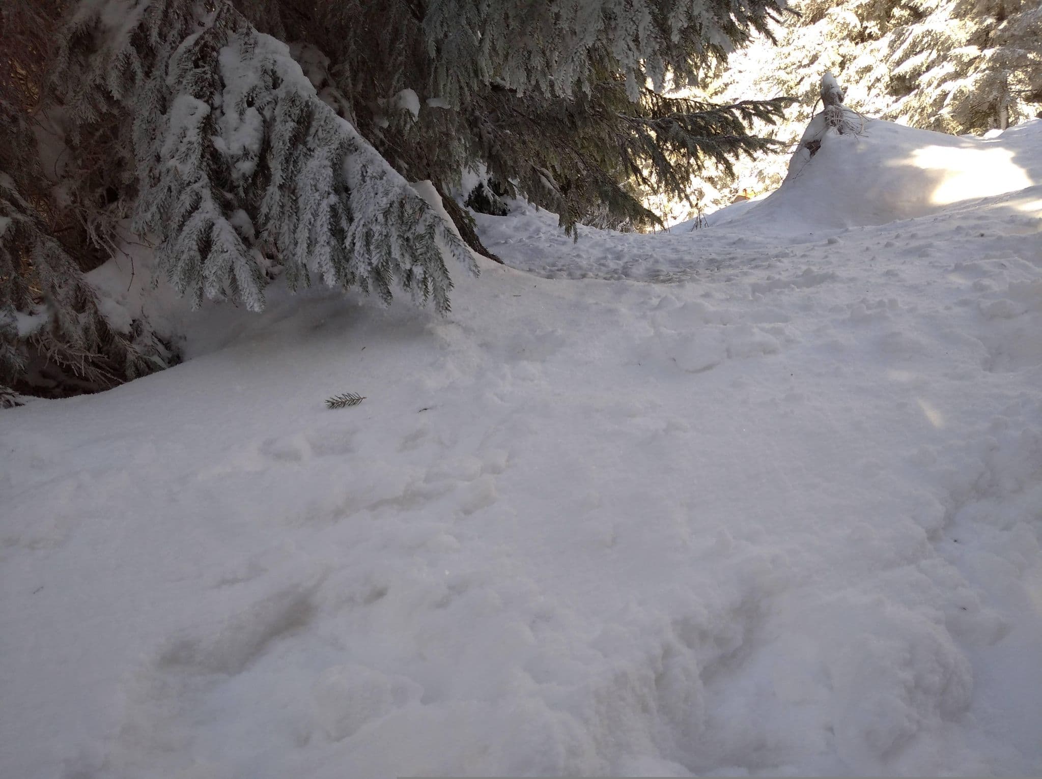 Street view near Butor panzio, Căpâlniţa — © grozsa11 (CC BY-SA · Mapillary)