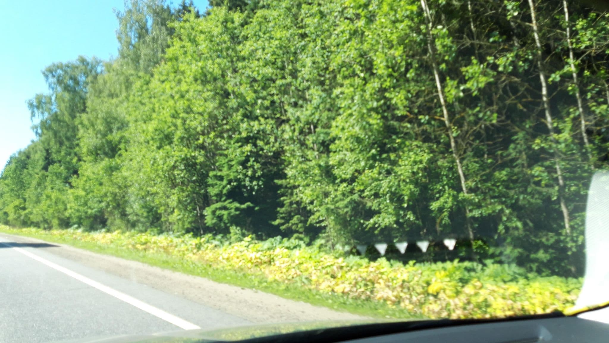 Street view near Natias sauna, Povarovo — © wowik (CC BY-SA · Mapillary)