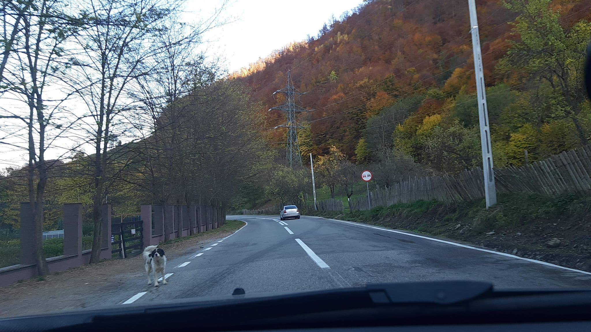 Street view near Pensiunea Terra Nova, Brezoi — © viorel (CC BY-SA · Mapillary)