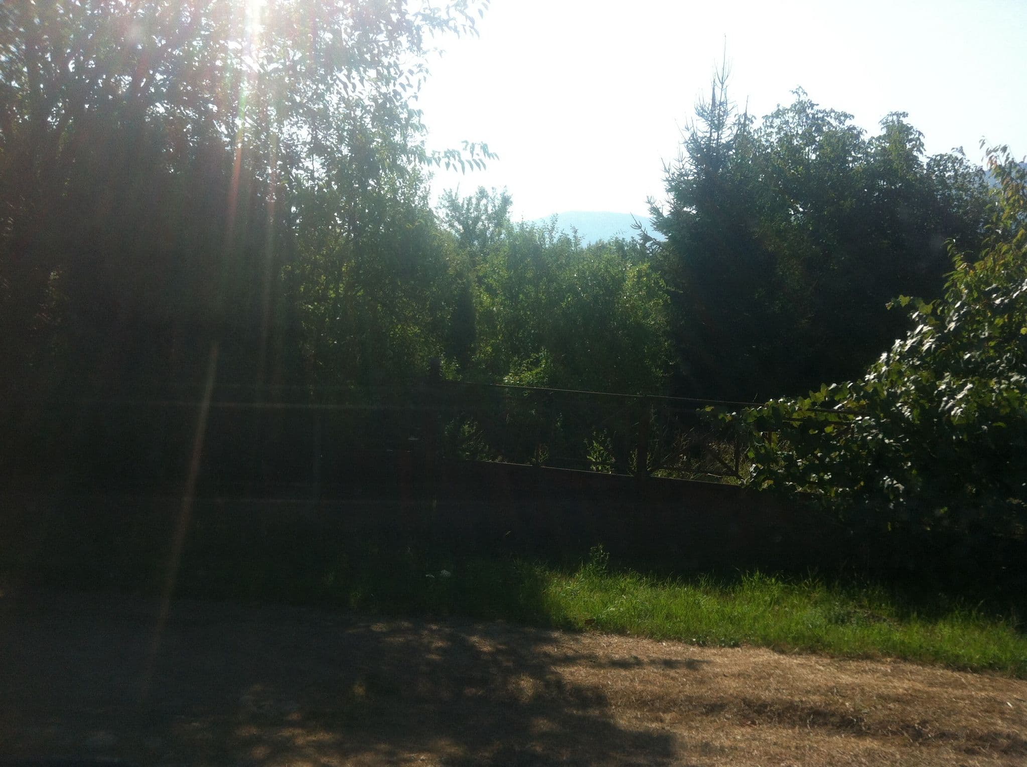 Street view near Pensiunea Zamolxe, Sarmizegetusa — © raymond (CC BY-SA · Mapillary)