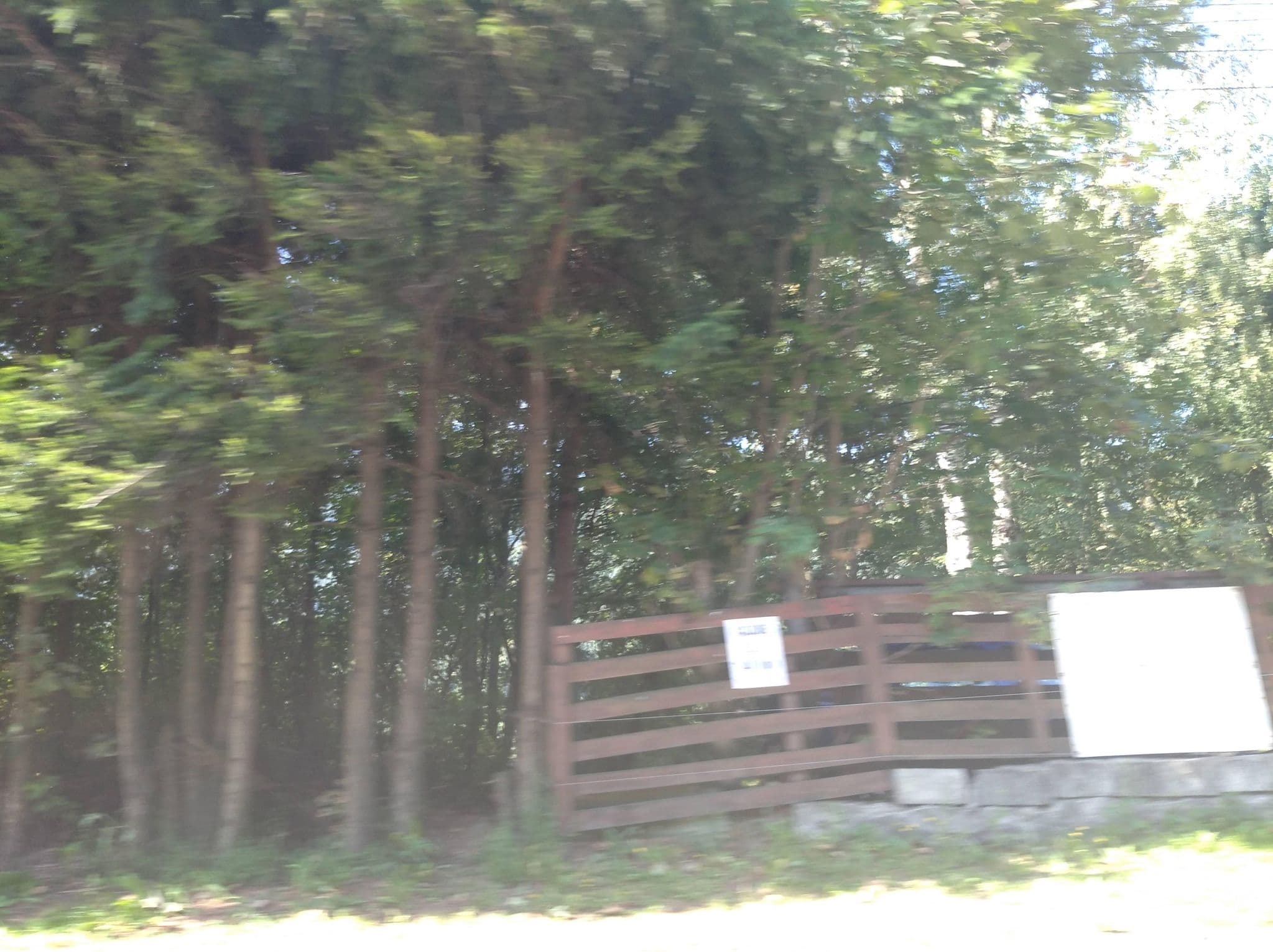 Street view near Pensiunea Daniel, Băile Tuşnad — © grozsa11 (CC BY-SA · Mapillary)