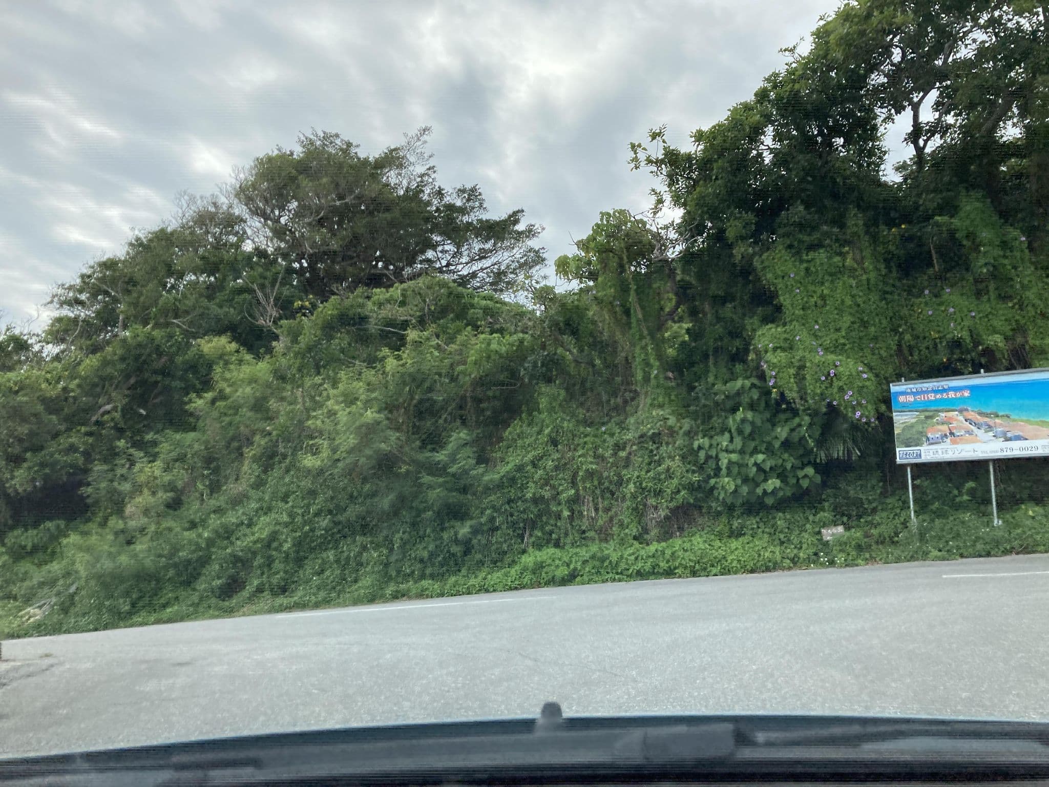 Street view near プライベートヴィラ沖縄百名, Nanjō — © pika_sky (CC BY-SA · Mapillary)