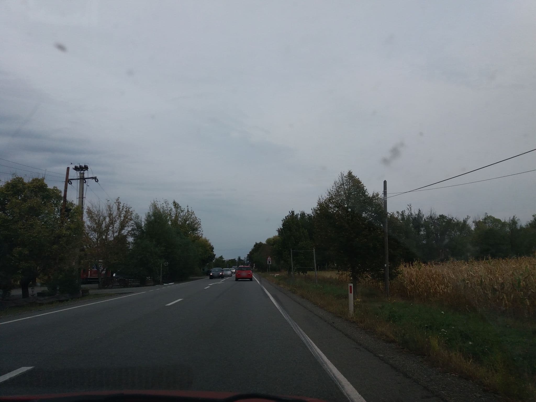 Street view near Pensiunea Calul Alb, Gorneşti — © viorel (CC BY-SA · Mapillary)