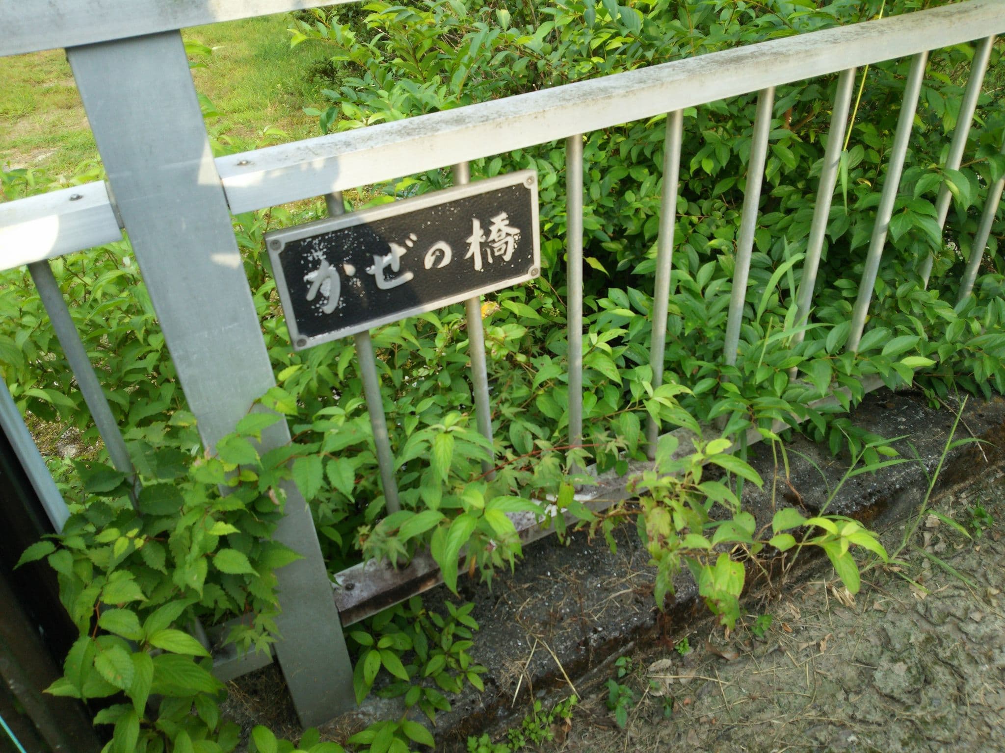 Street view near 錦パレスホテル, Okugano — © tadanet3 (CC BY-SA · Mapillary)