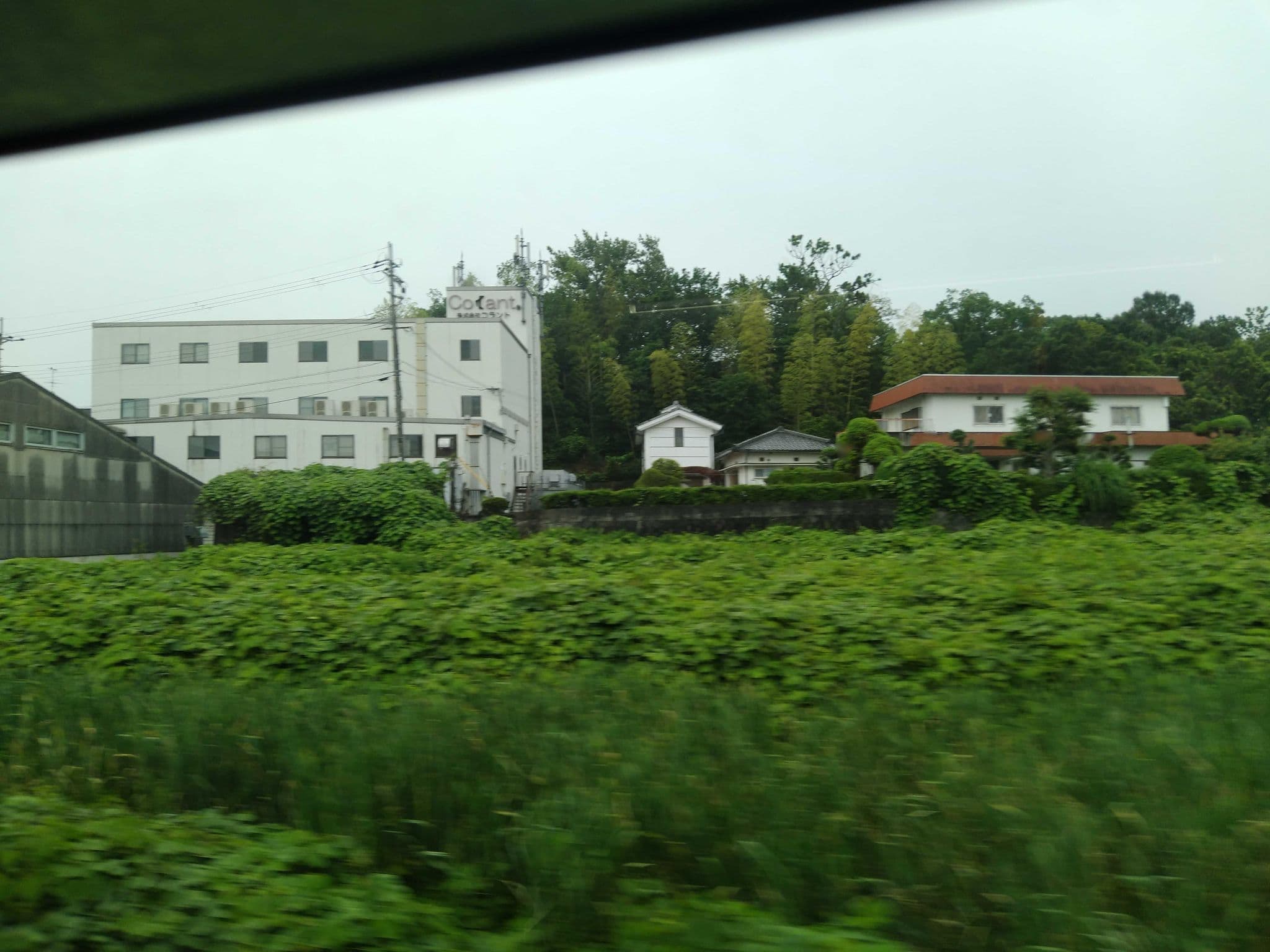 Street view near ホテル葛城, Hikiso — © yasunari (CC BY-SA · Mapillary)