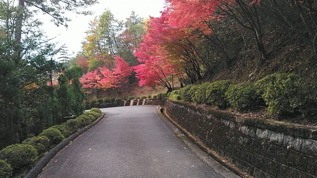 Street view near あうる京北, Nantan — © kojiroucircle (CC BY-SA · Mapillary)