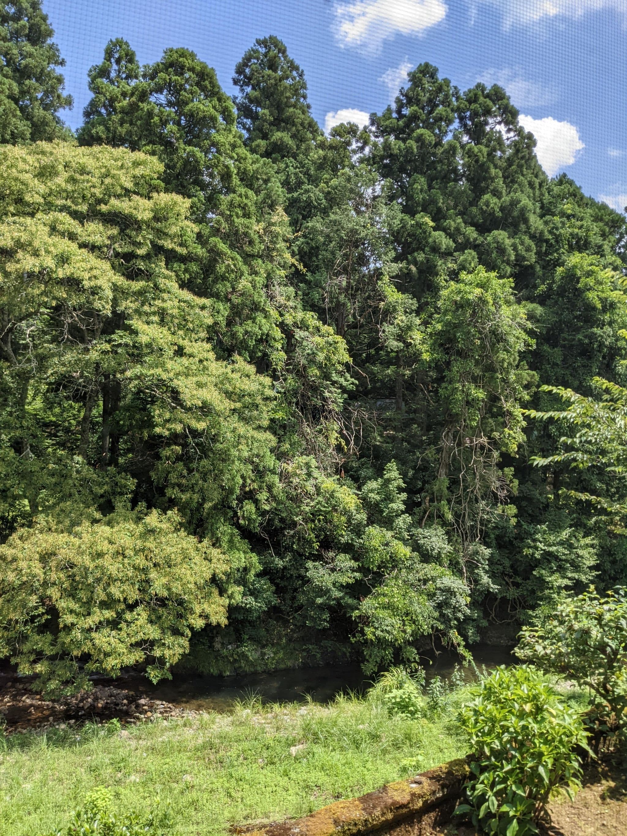 Street view near 沈川楼, Obama — © yasunari (CC BY-SA · Mapillary)