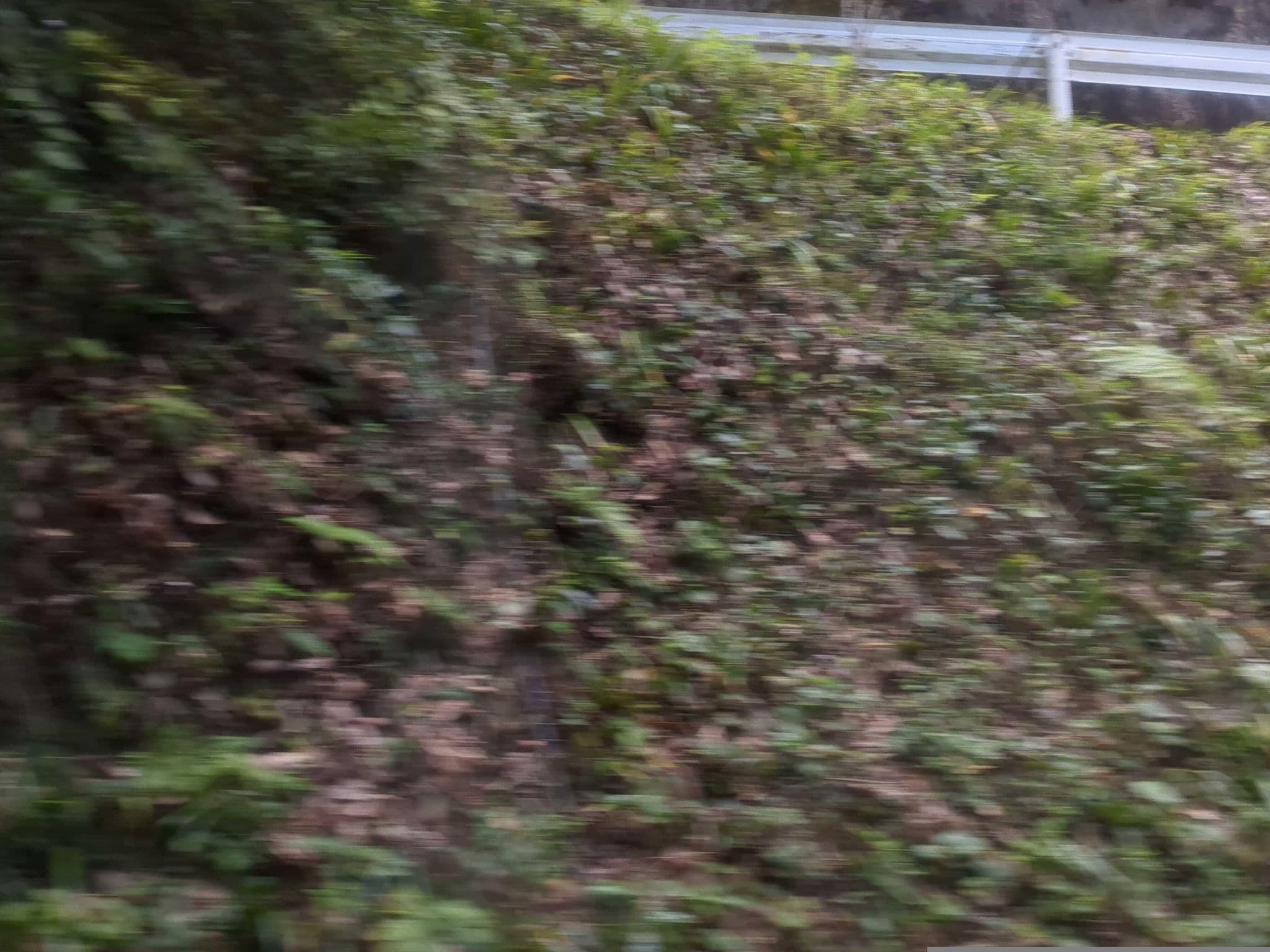 Street view near 松風苑, Shinshiro — © mitz (CC BY-SA · Mapillary)