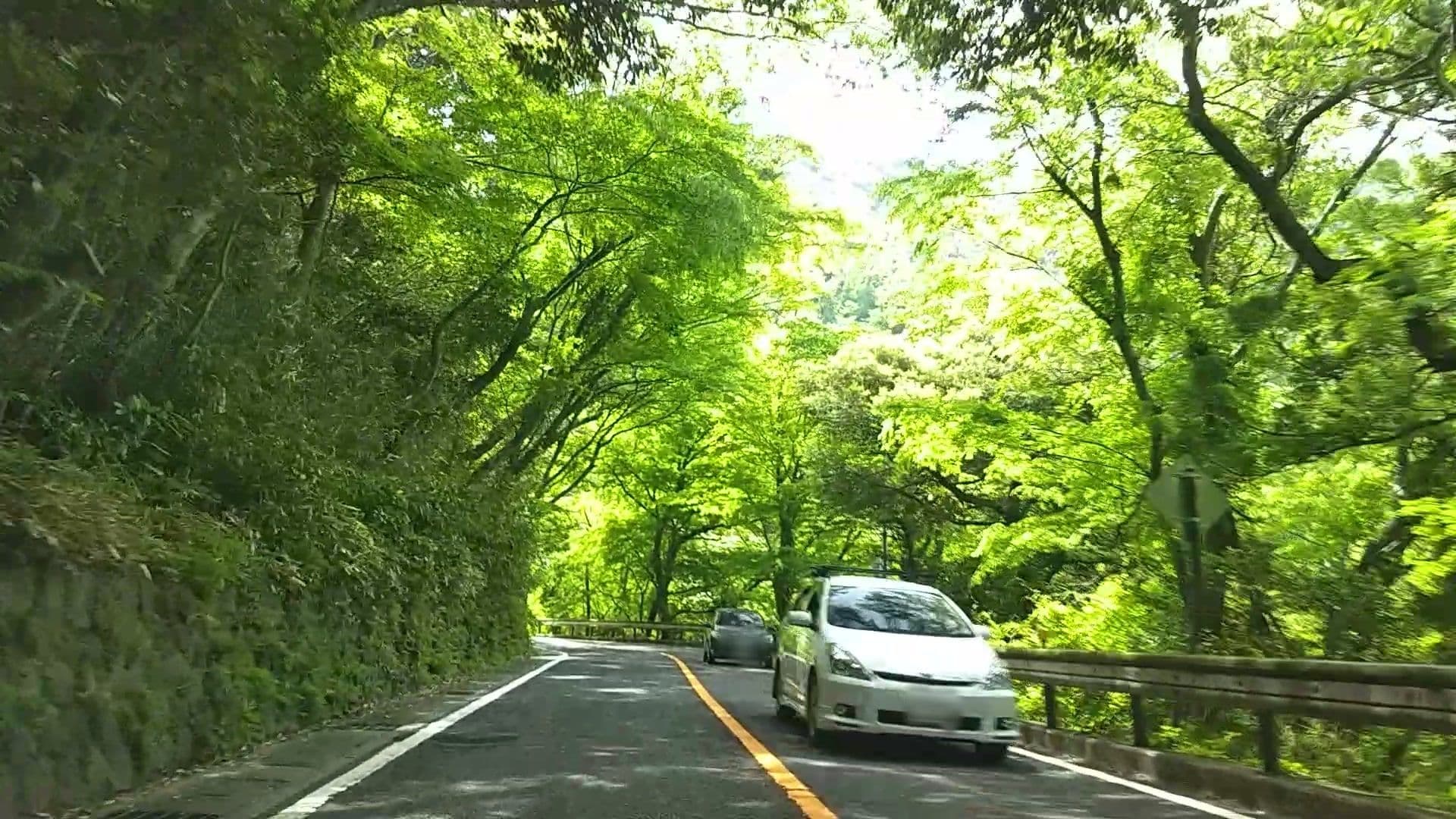 Street view near 港区立箱根大平台港荘, Hayakawa — © drivephotograph (CC BY-SA · Mapillary)