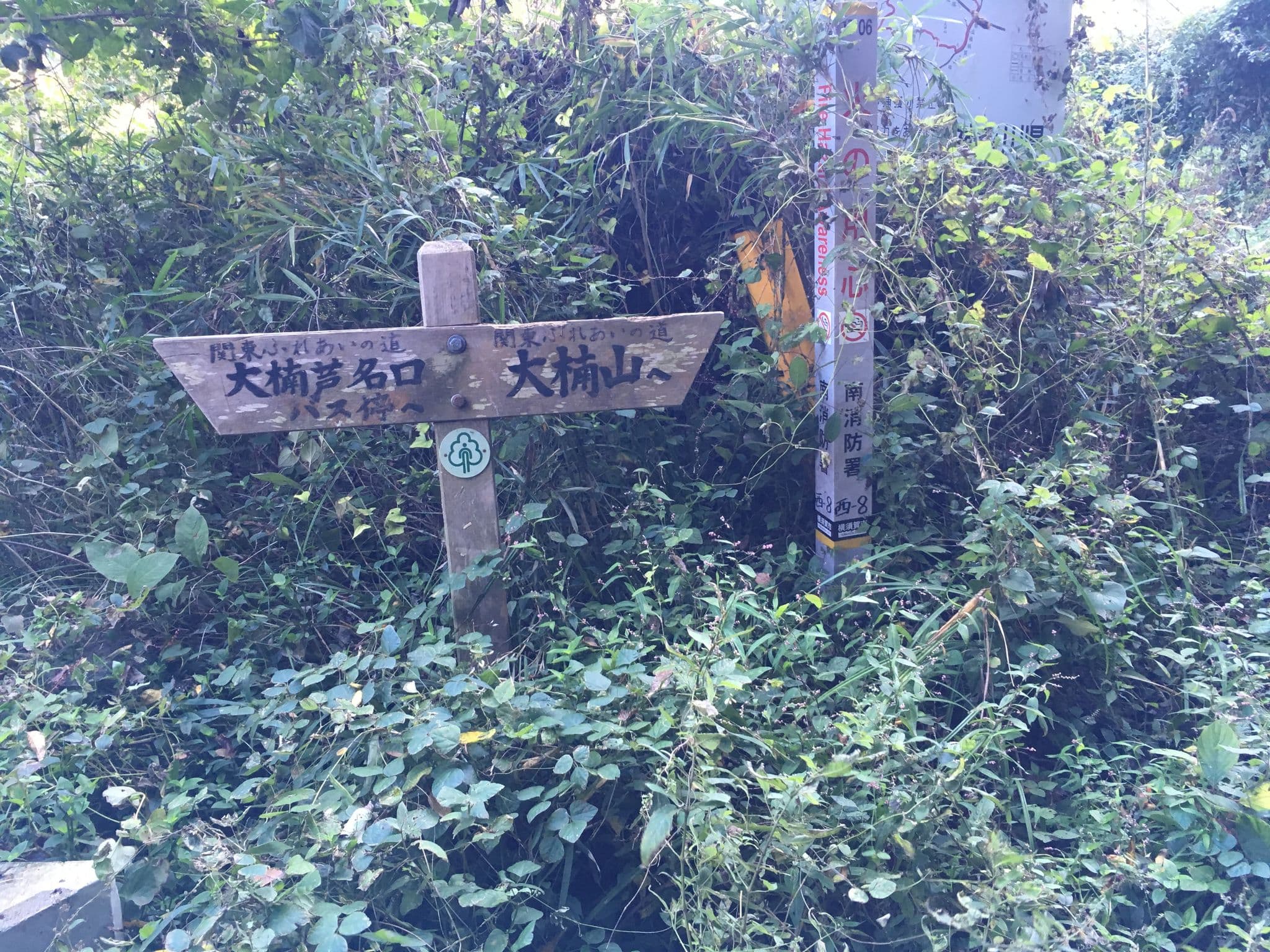 Street view near House Ogusuyama, Hayama — © mura (CC BY-SA · Mapillary)