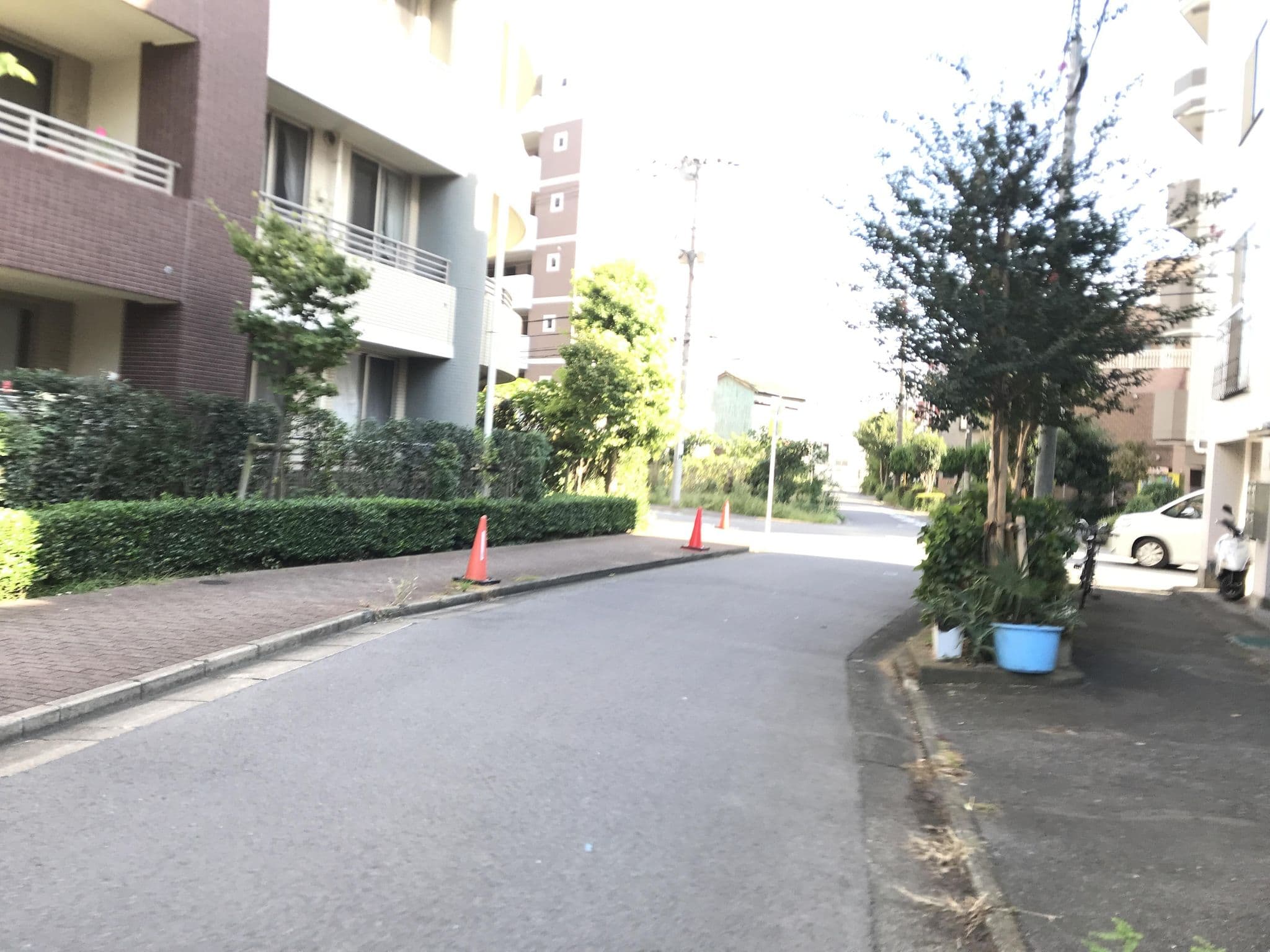 Street view near ヴォーガコルテ千鳥町, Ikegami — © musashino5 (CC BY-SA · Mapillary)