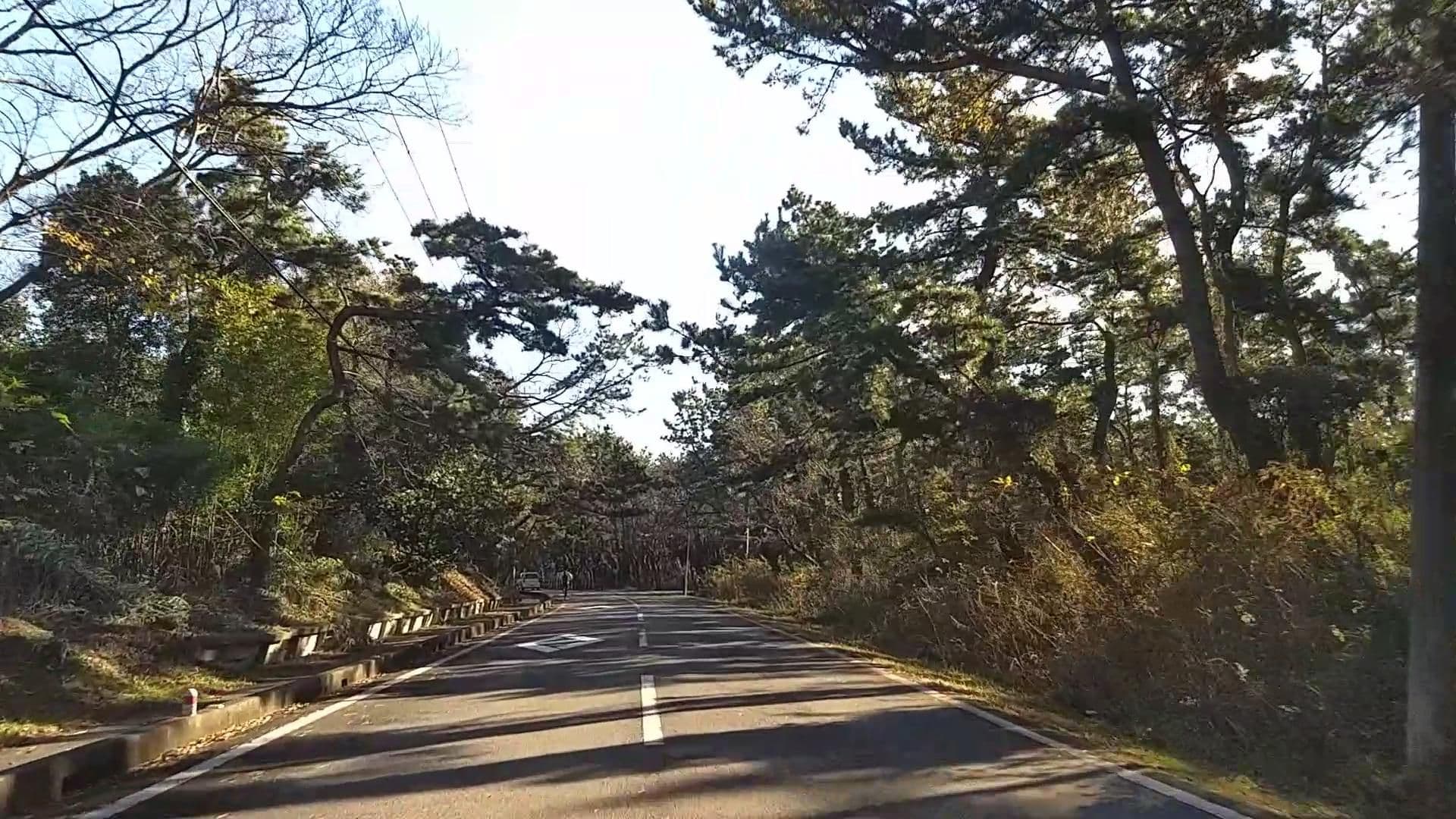 Street view near 富津岬荘, Futtsu — © drivephotograph (CC BY-SA · Mapillary)